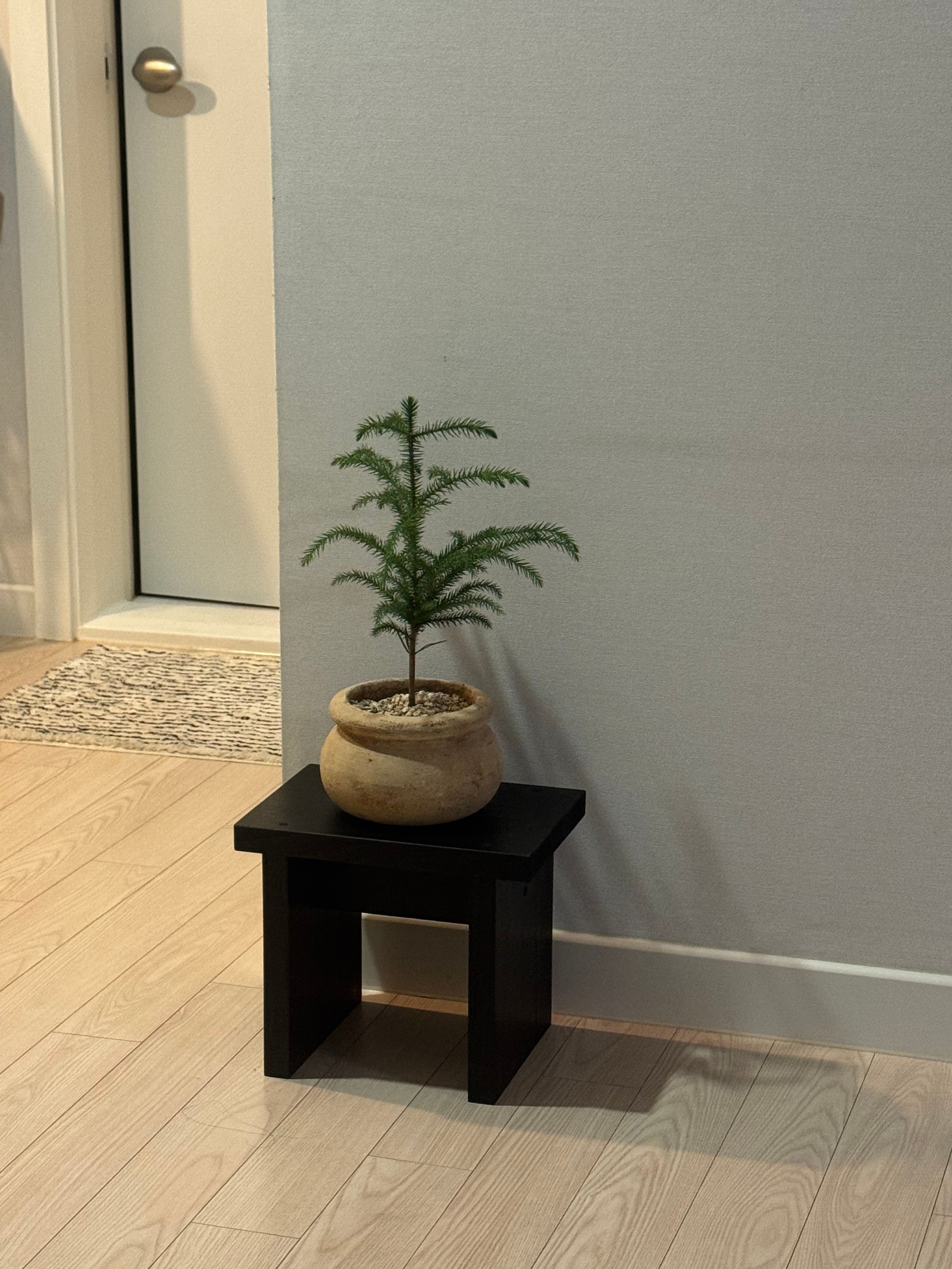 Rectangular Wood Mini Plant Stand user photo