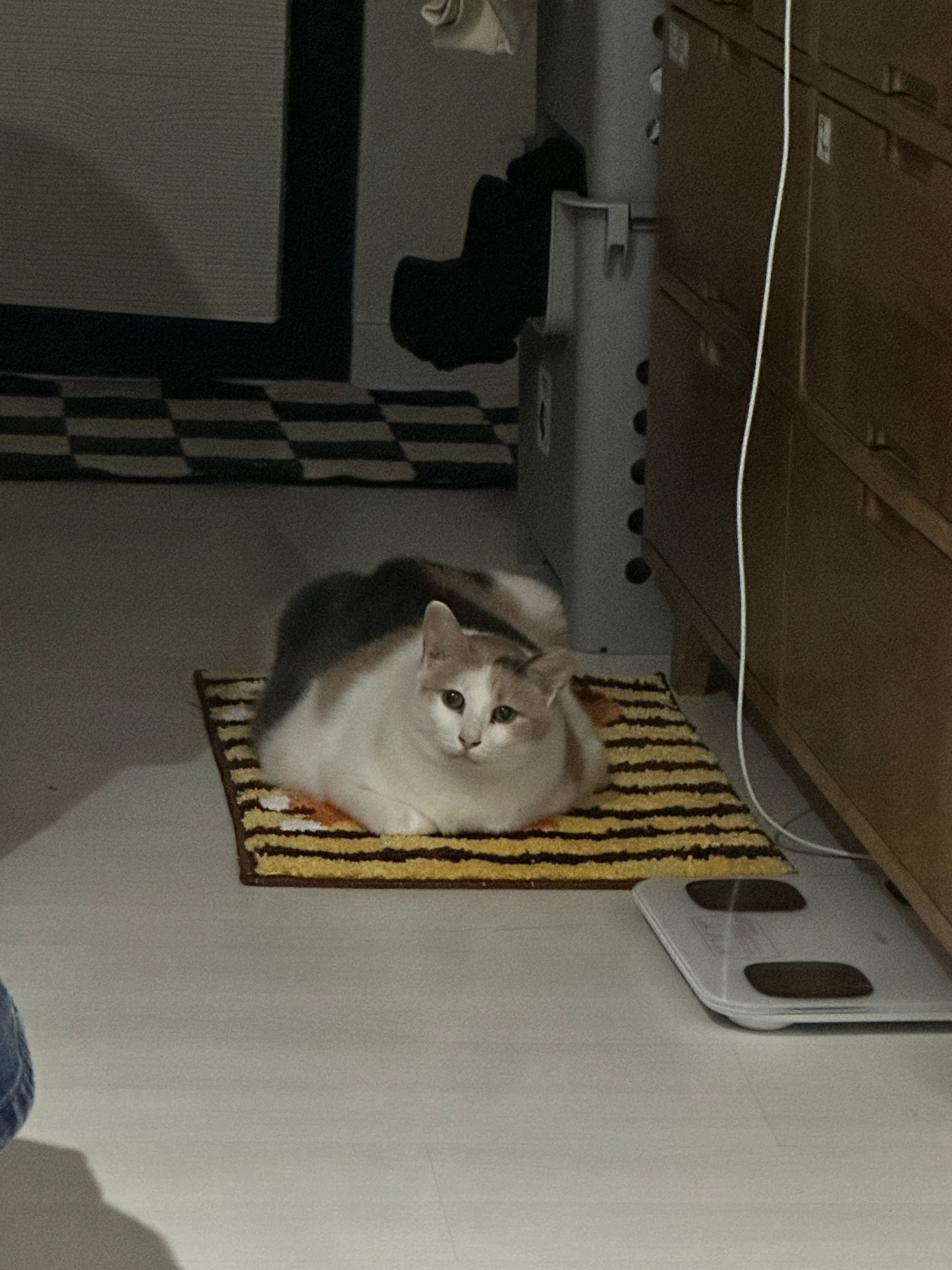 Curious Cat Tufted Accent Mat user photo