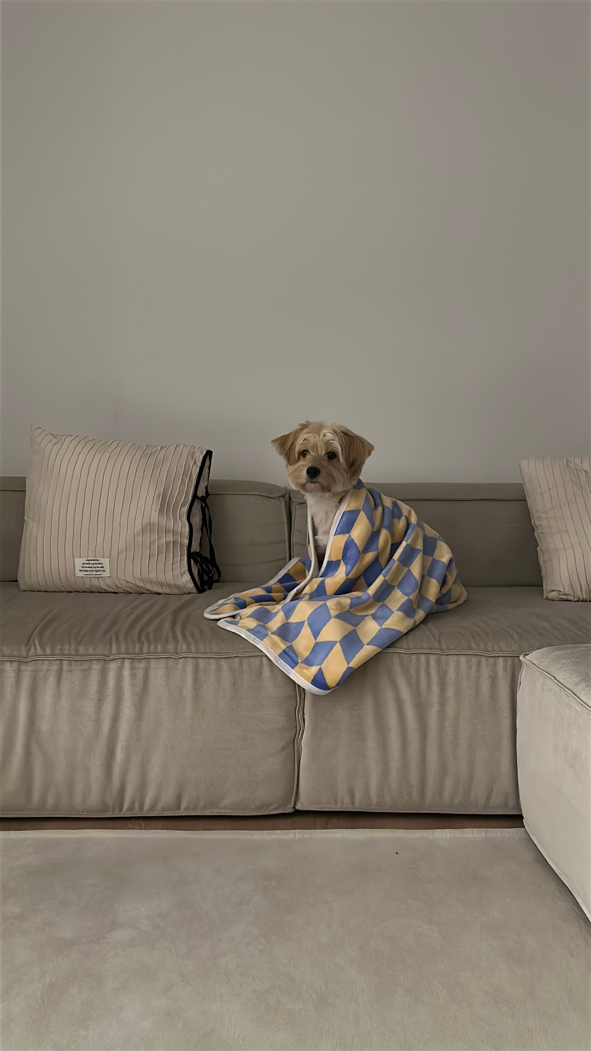 Creamy Plush Microfiber Blanket user photo