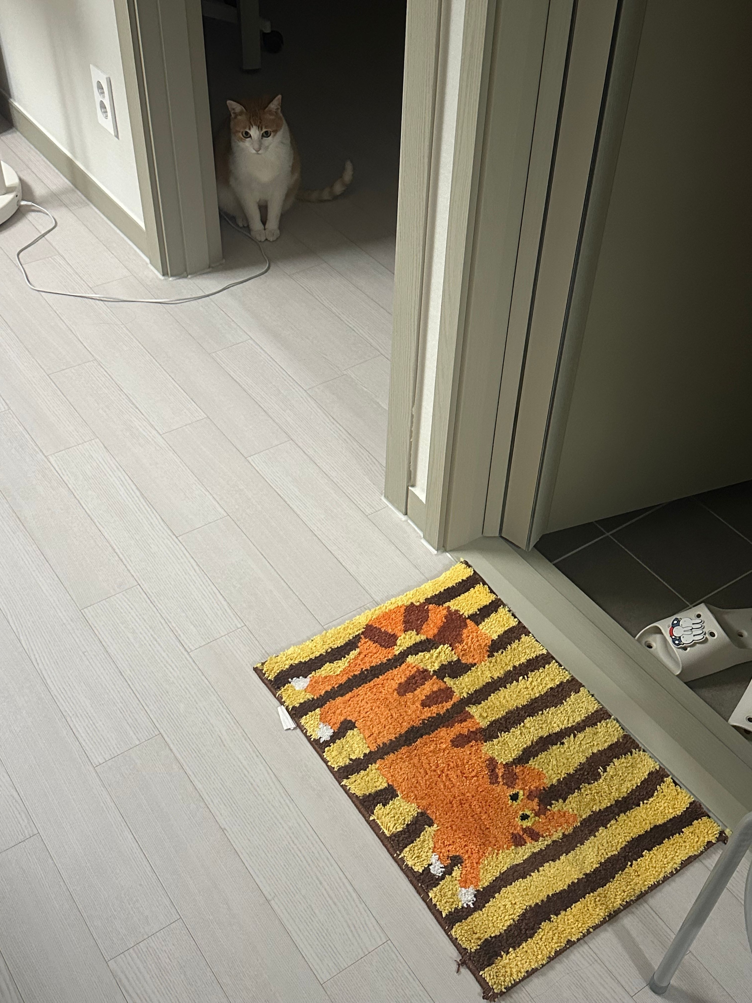 Curious Cat Tufted Accent Mat user photo