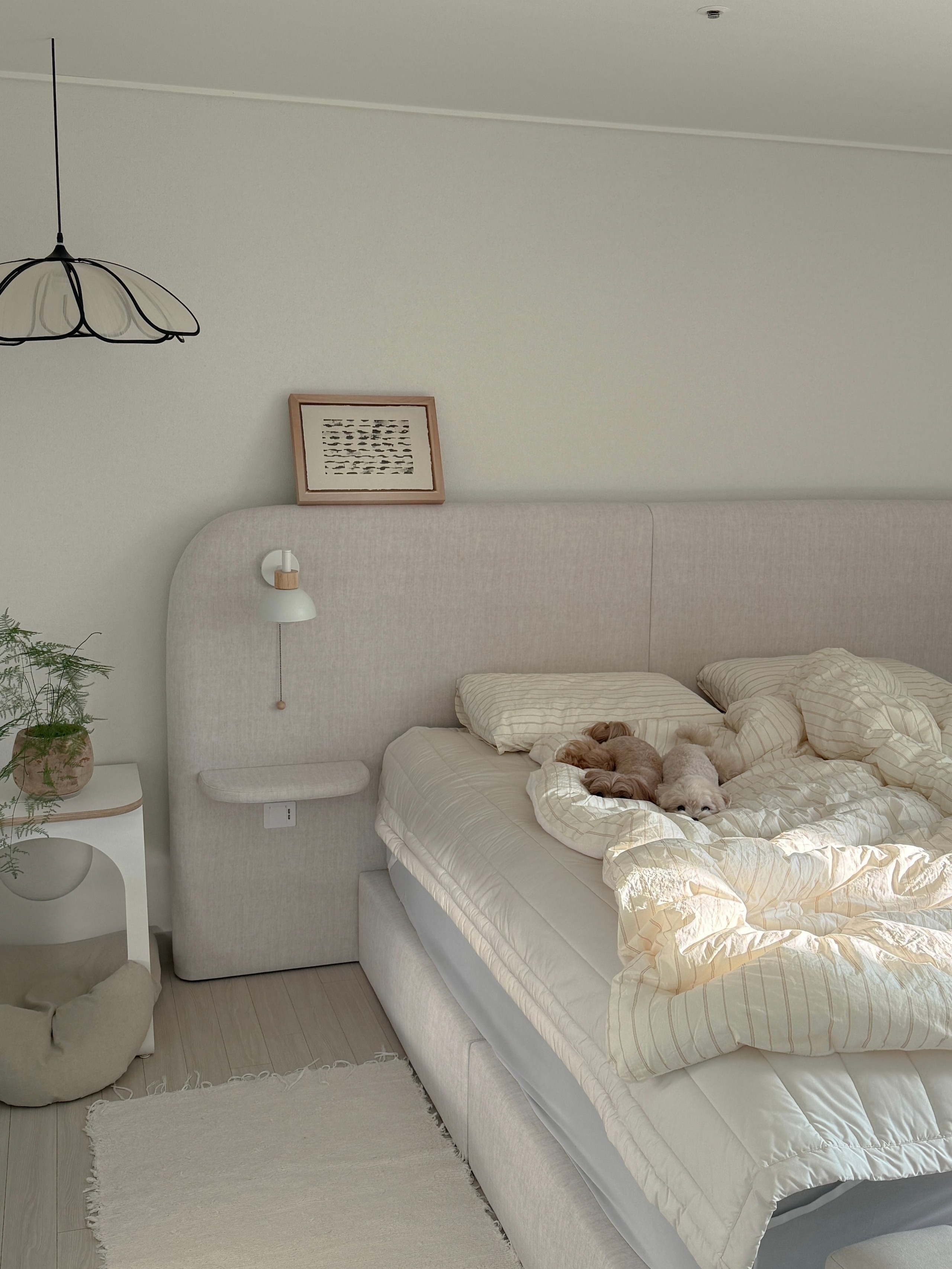 Soft Sleep Microfiber Mattress Fitted Sheet user photo