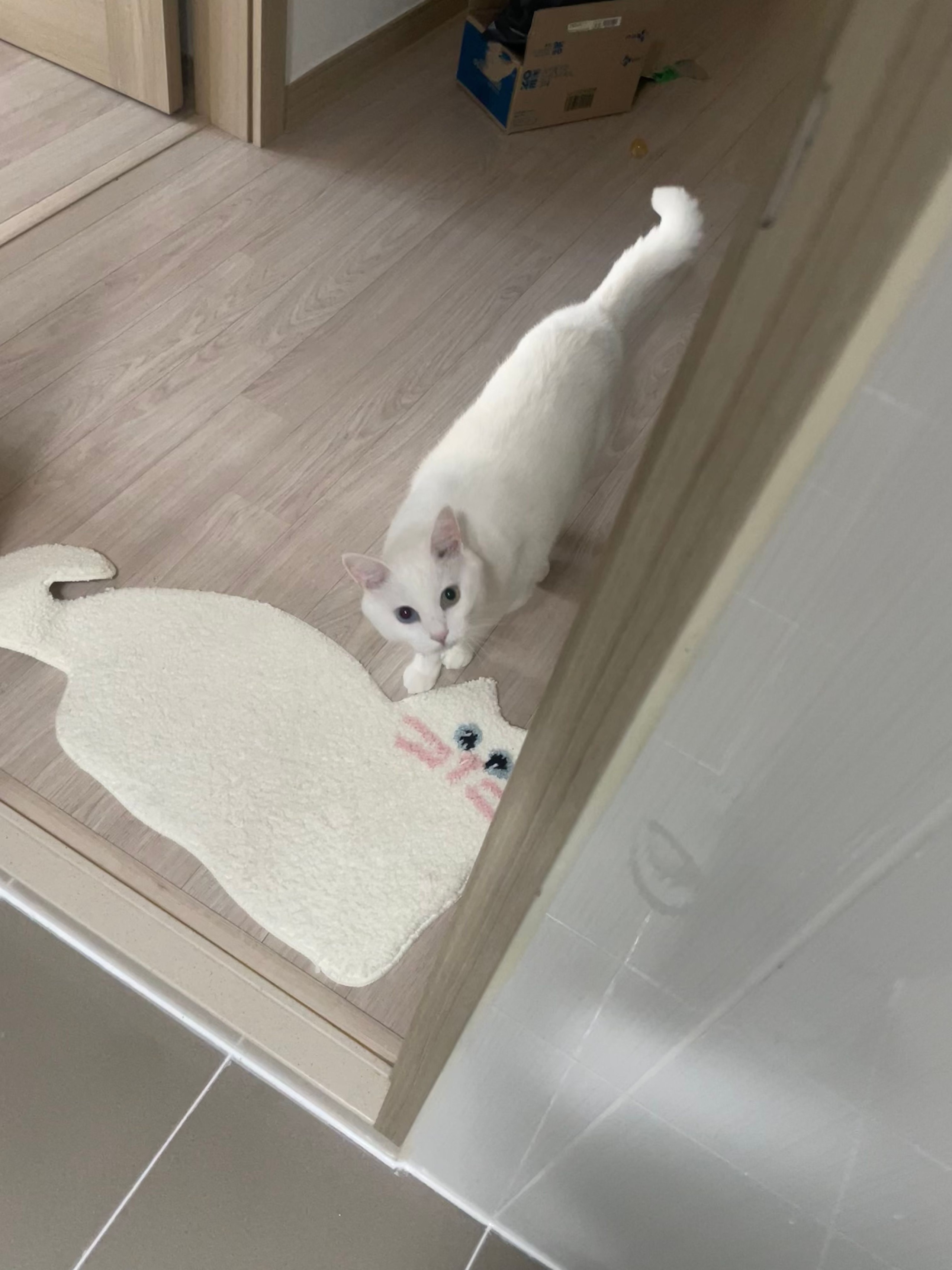 Sweet Cat Tufted Rug user photo