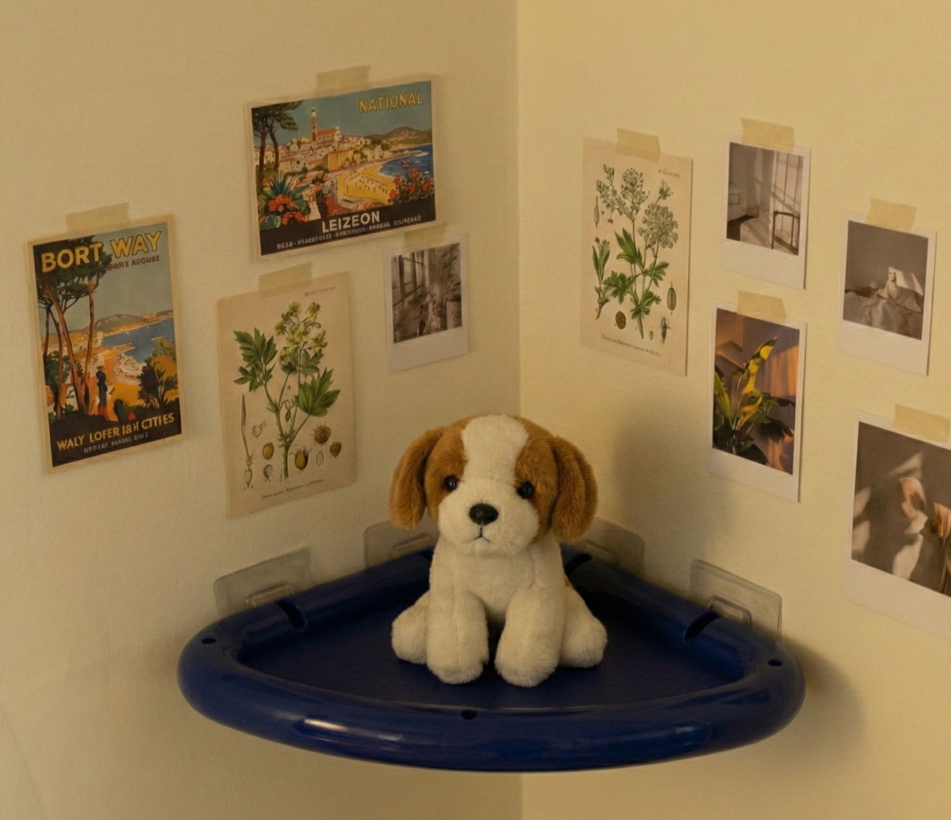 No-Drill Colorful Corner Shelf user photo