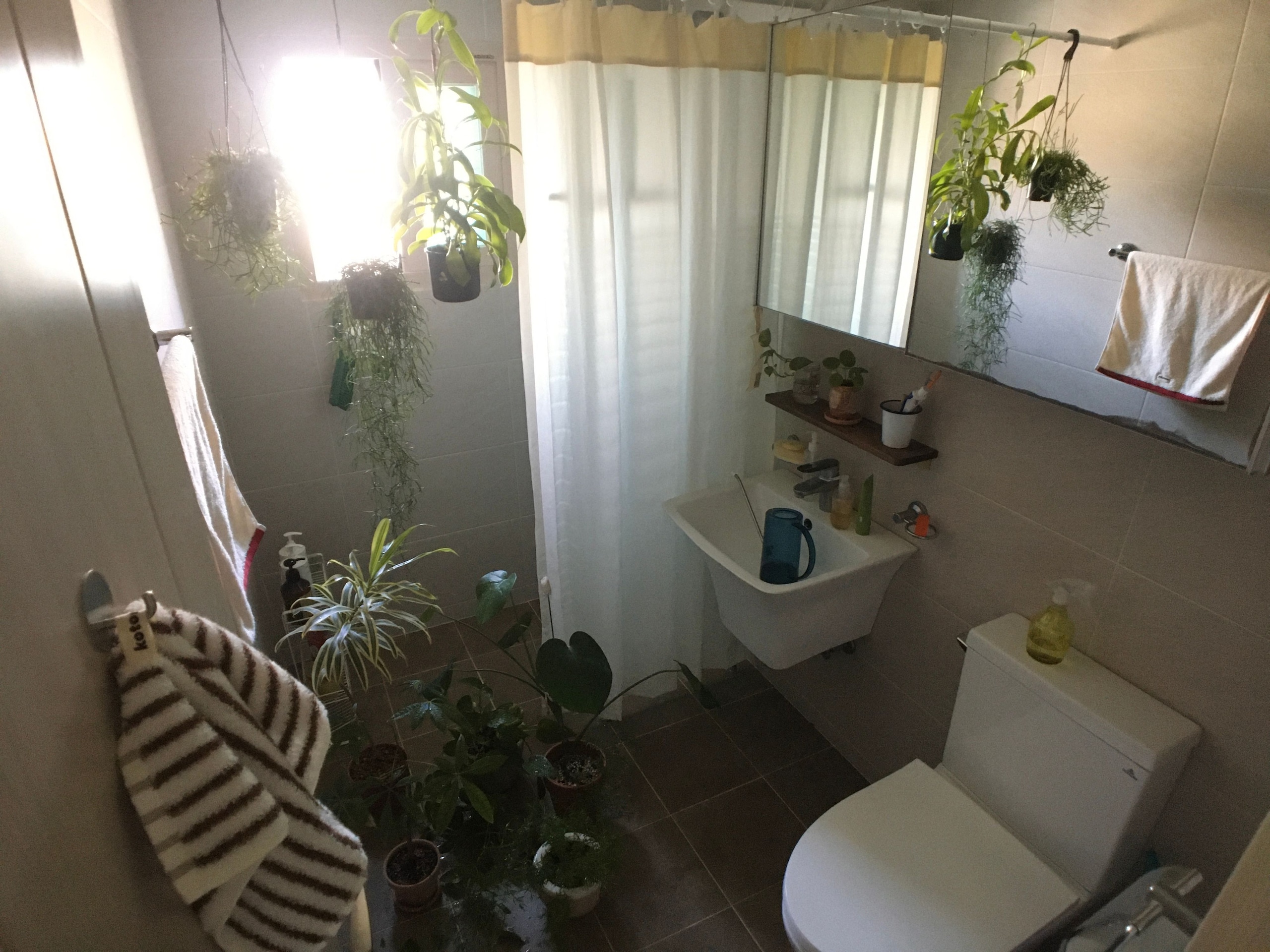 Kotona Color Collection Premium Cotton Towels user photo