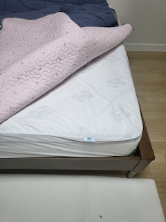 혜바라길이야기님의 리뷰 사진