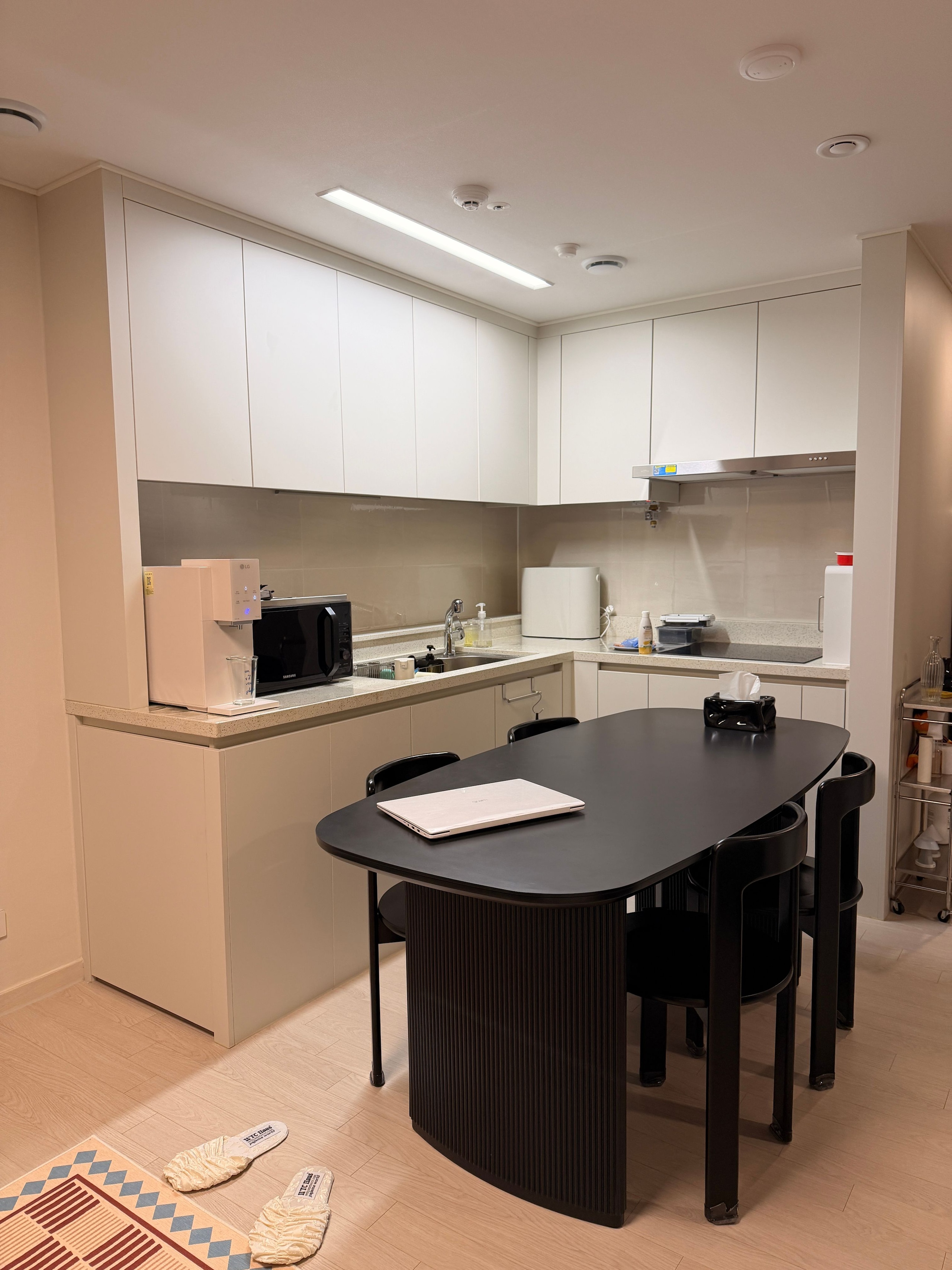 Adjustable Stainless Steel Dish Drying Rack user photo