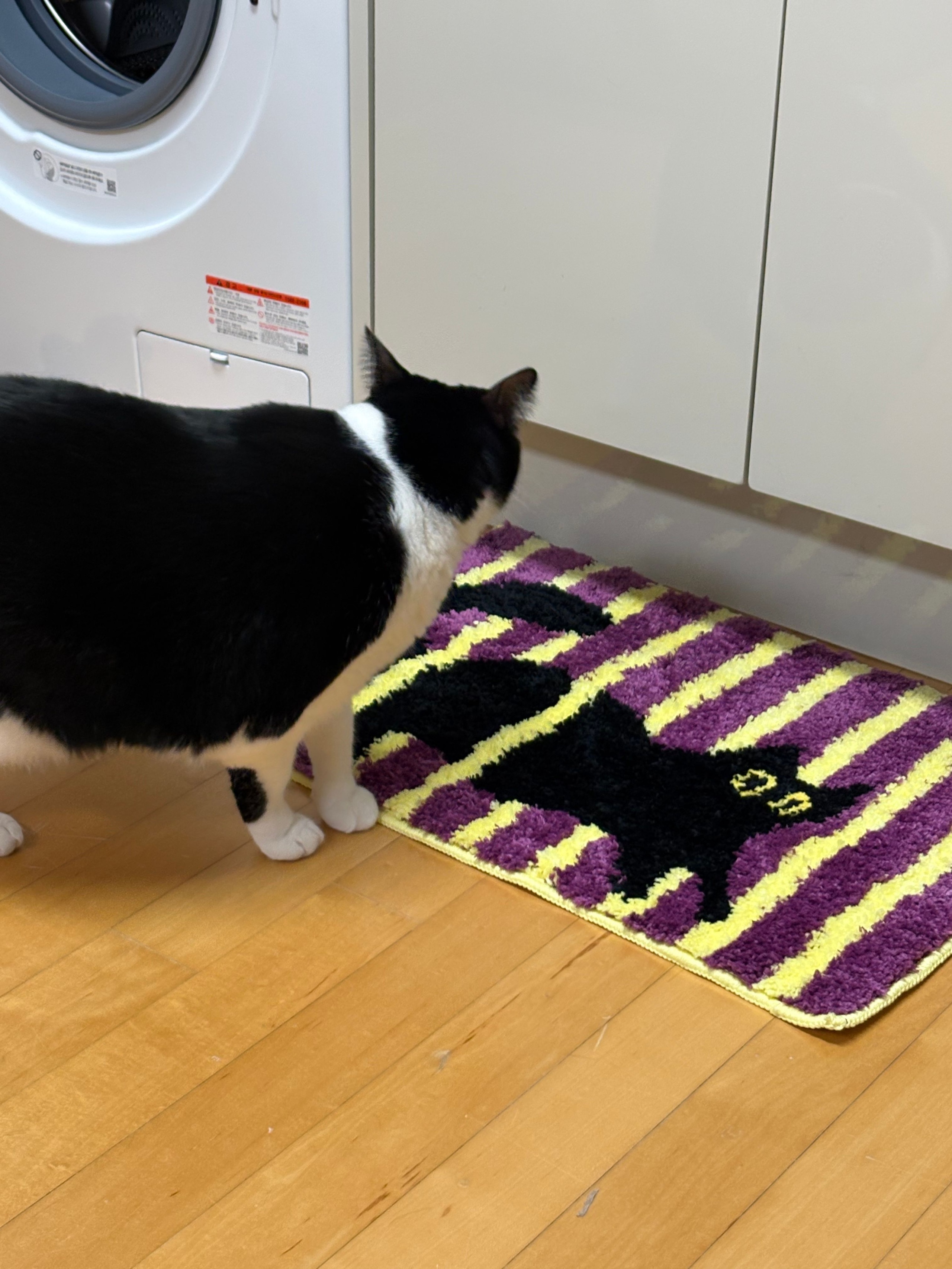 Curious Cat Tufted Accent Mat user photo