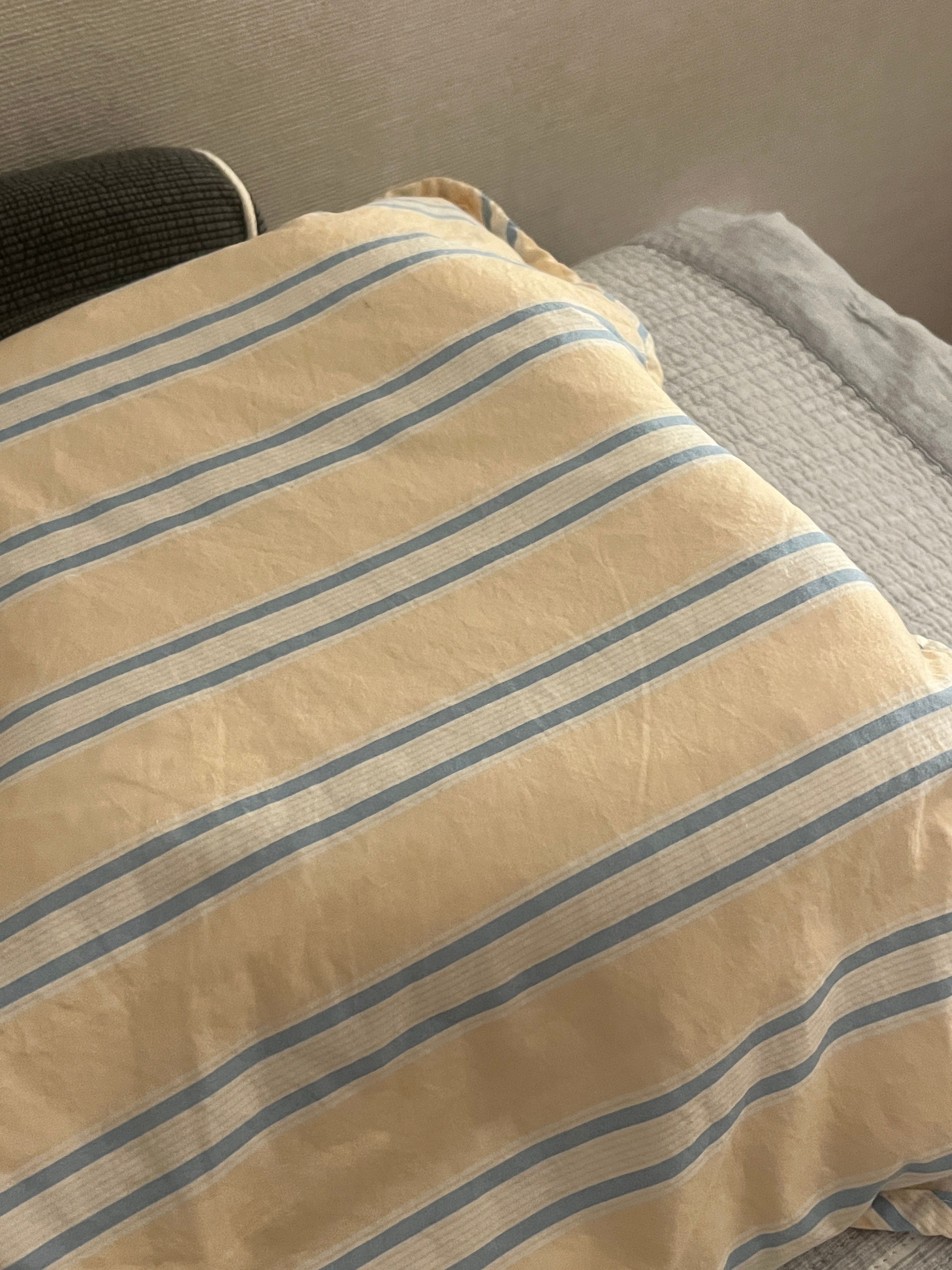 Vintage Mansion Cotton Fitted Pillowcase Set (2-Pack) user photo