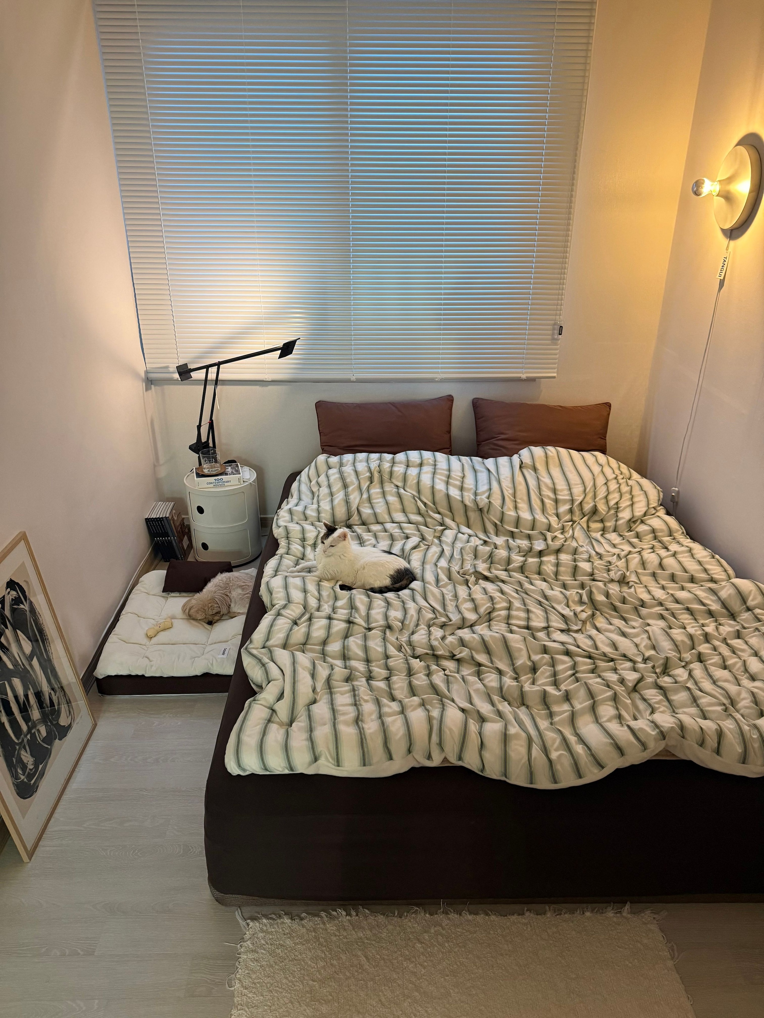 Airy Cloud Fitted Sheet user photo