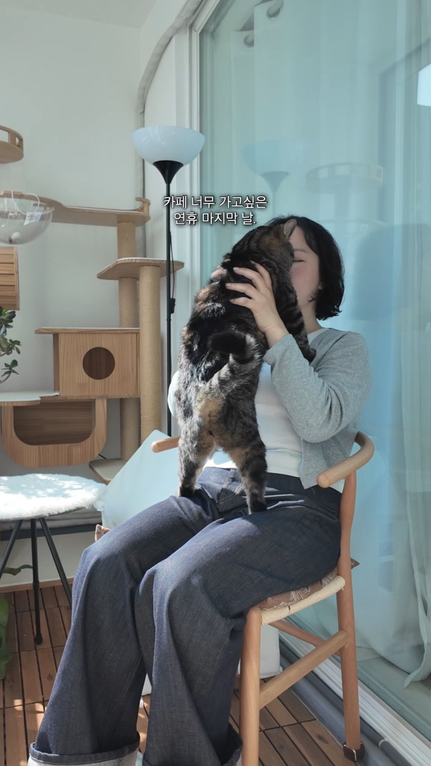 Peanut Shaped Divided Sushi Plate user photo