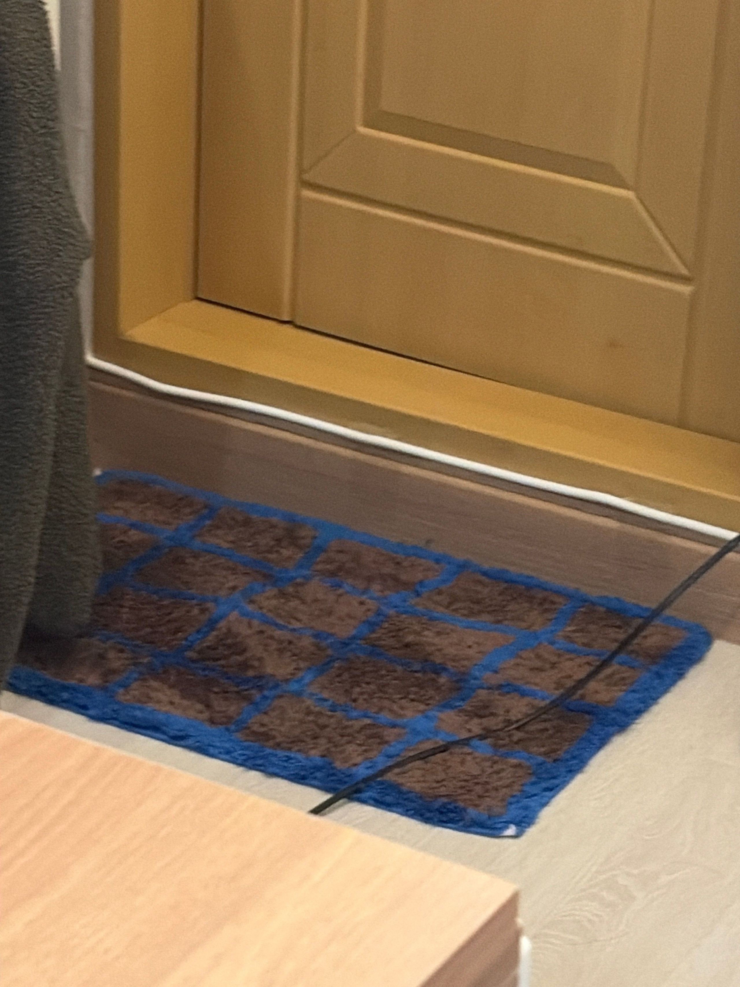 Joy Fuzzy Mini Rug user photo