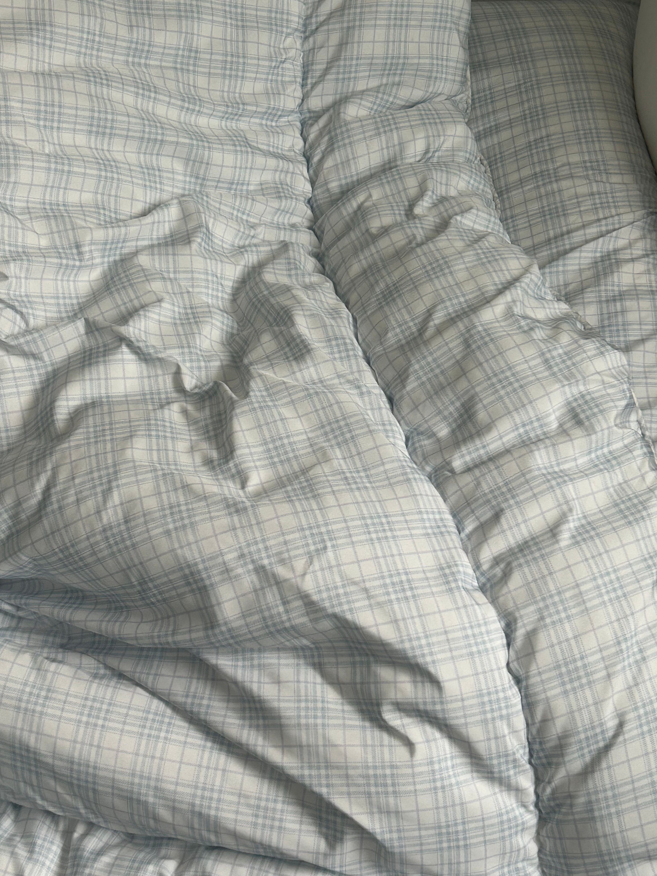 Porch Check Allergy-Care Comforter Set user photo