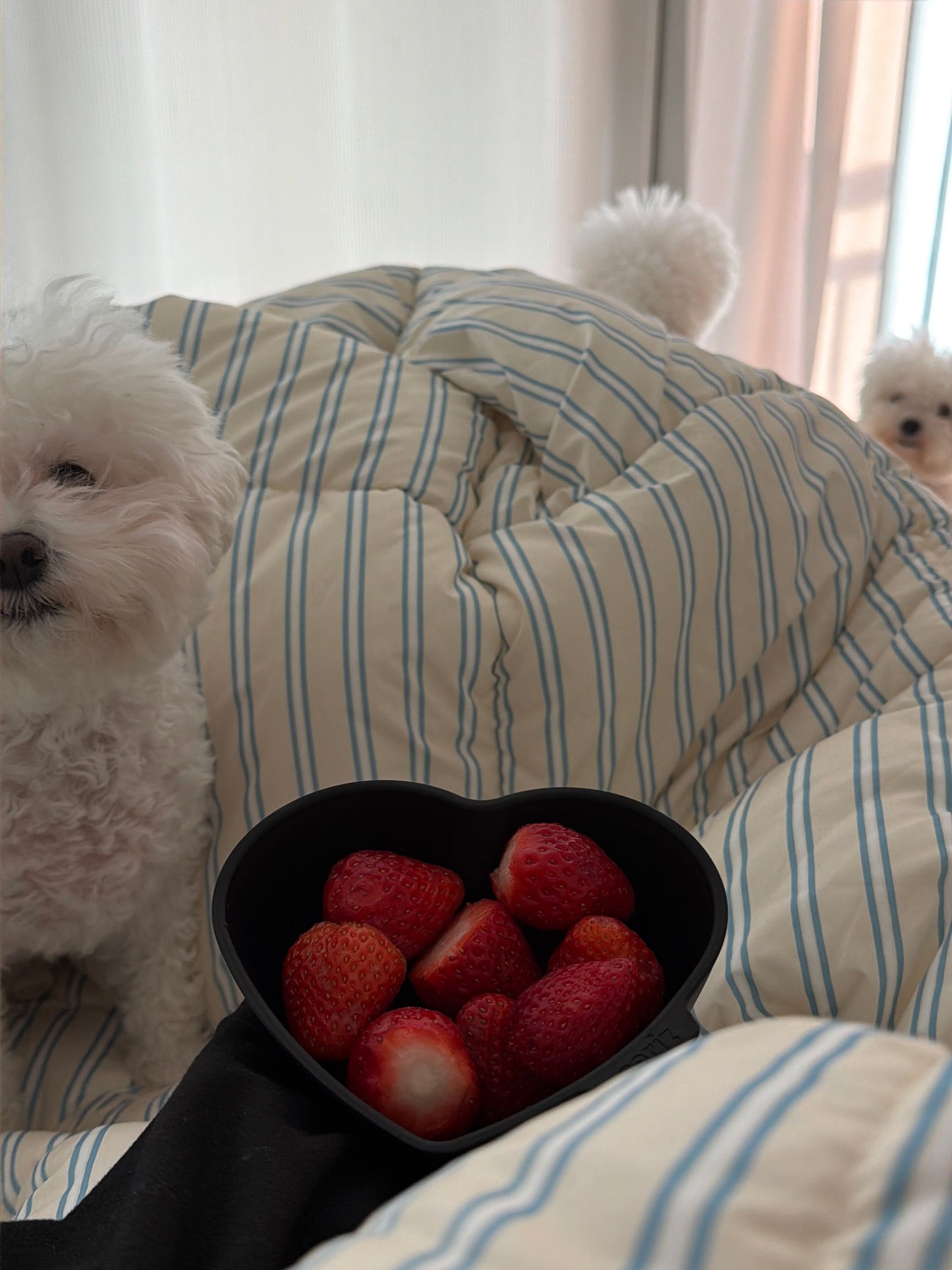 Heartful Pink Bowl & Plate Gift Set (3-Piece) user photo
