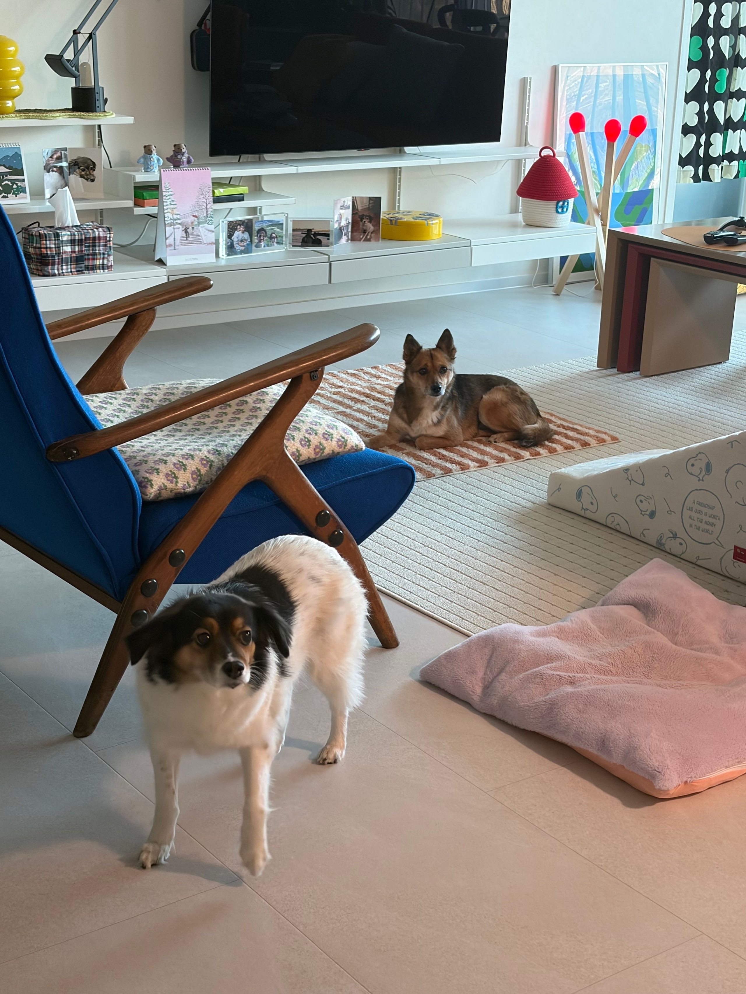 Haus Soft Woven Storage Basket user photo