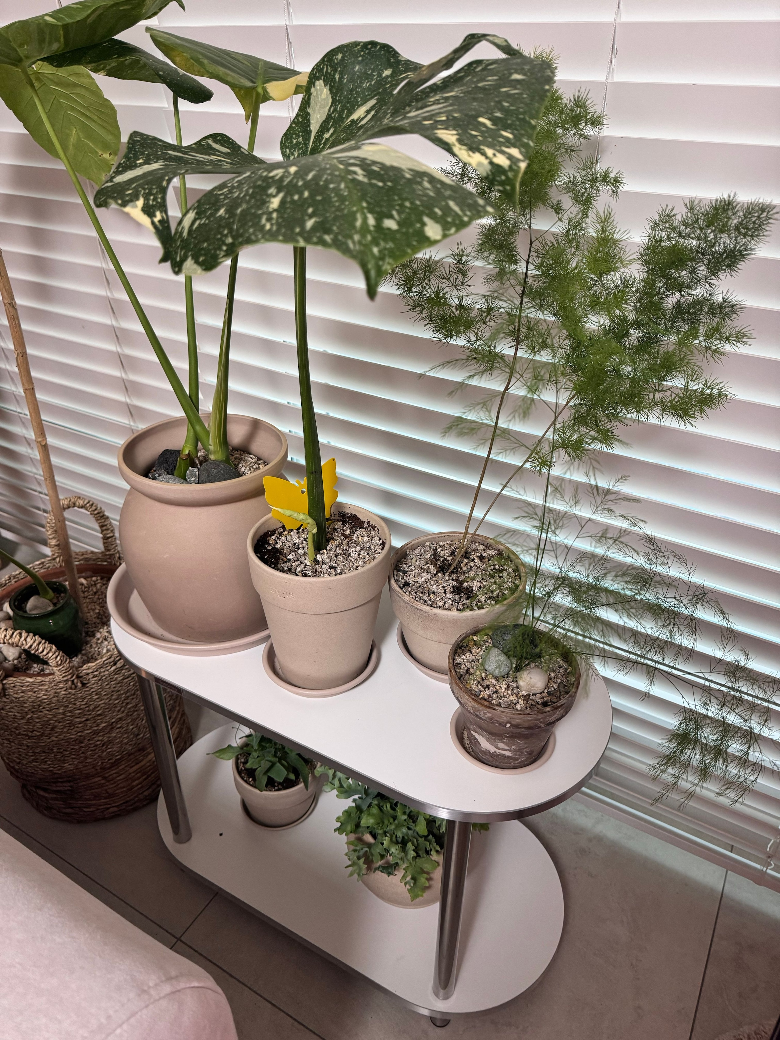 Bling Modern Modular Display Shelf user photo