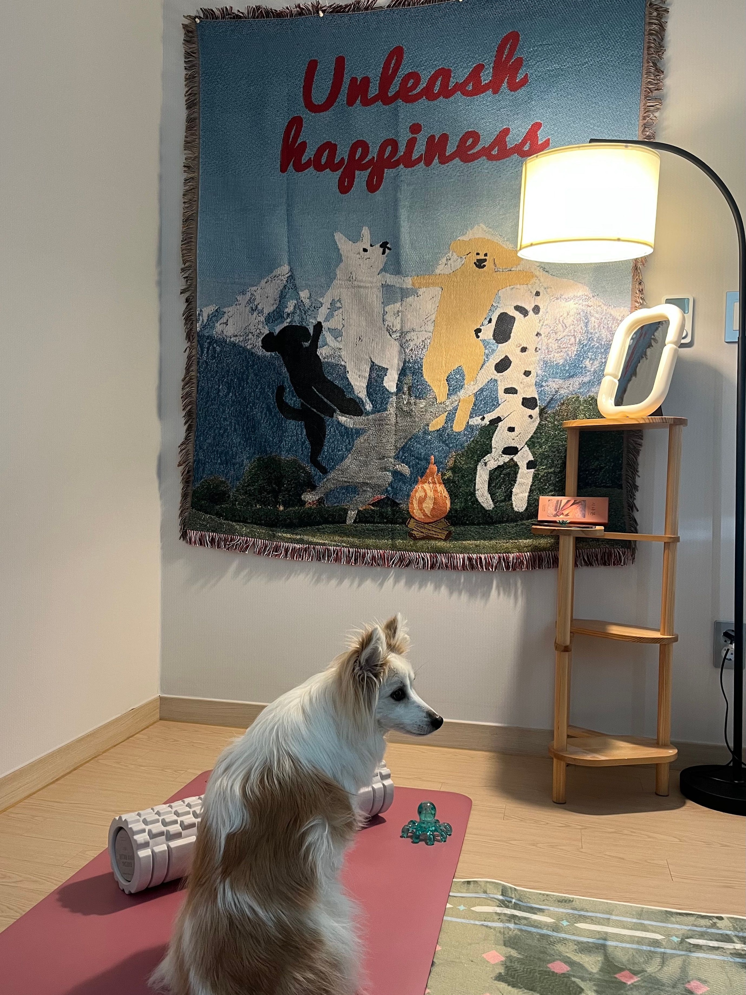 Tapestry Blanket Rug user photo