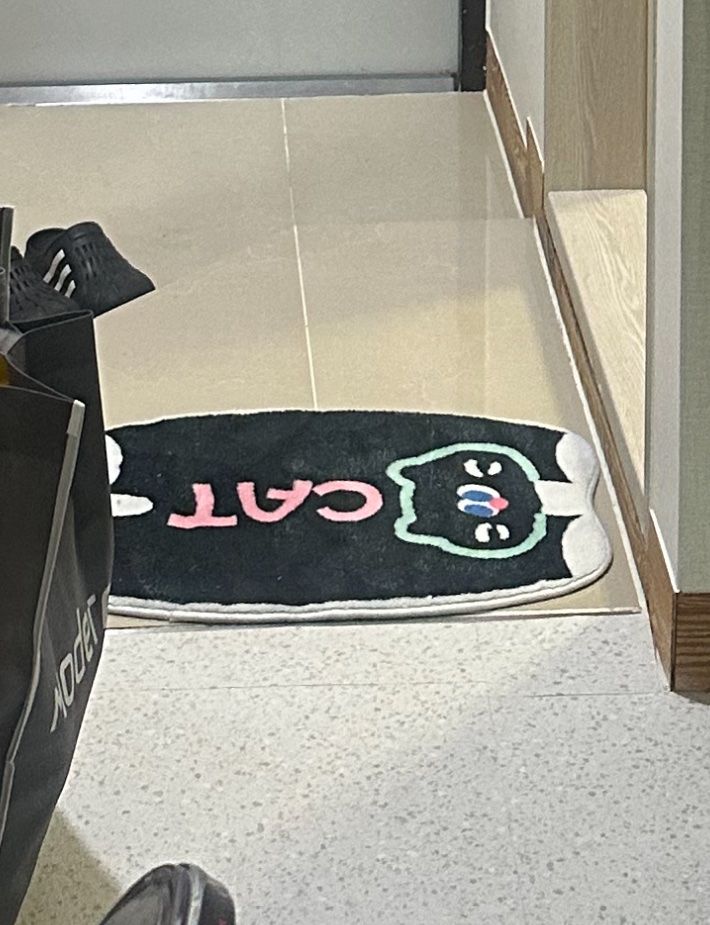 Doodle Animal Accent Rug Collection user photo