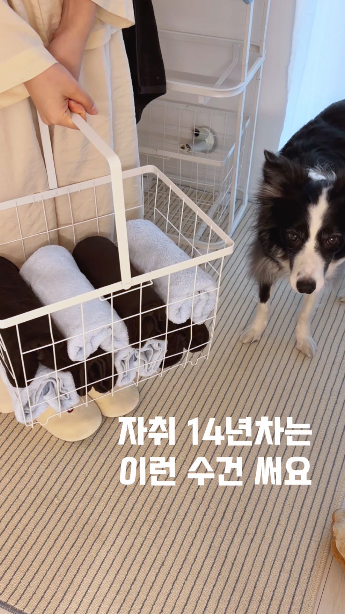Dove 4-Frame 3-Tier Rolling Laundry Basket Trolley user photo