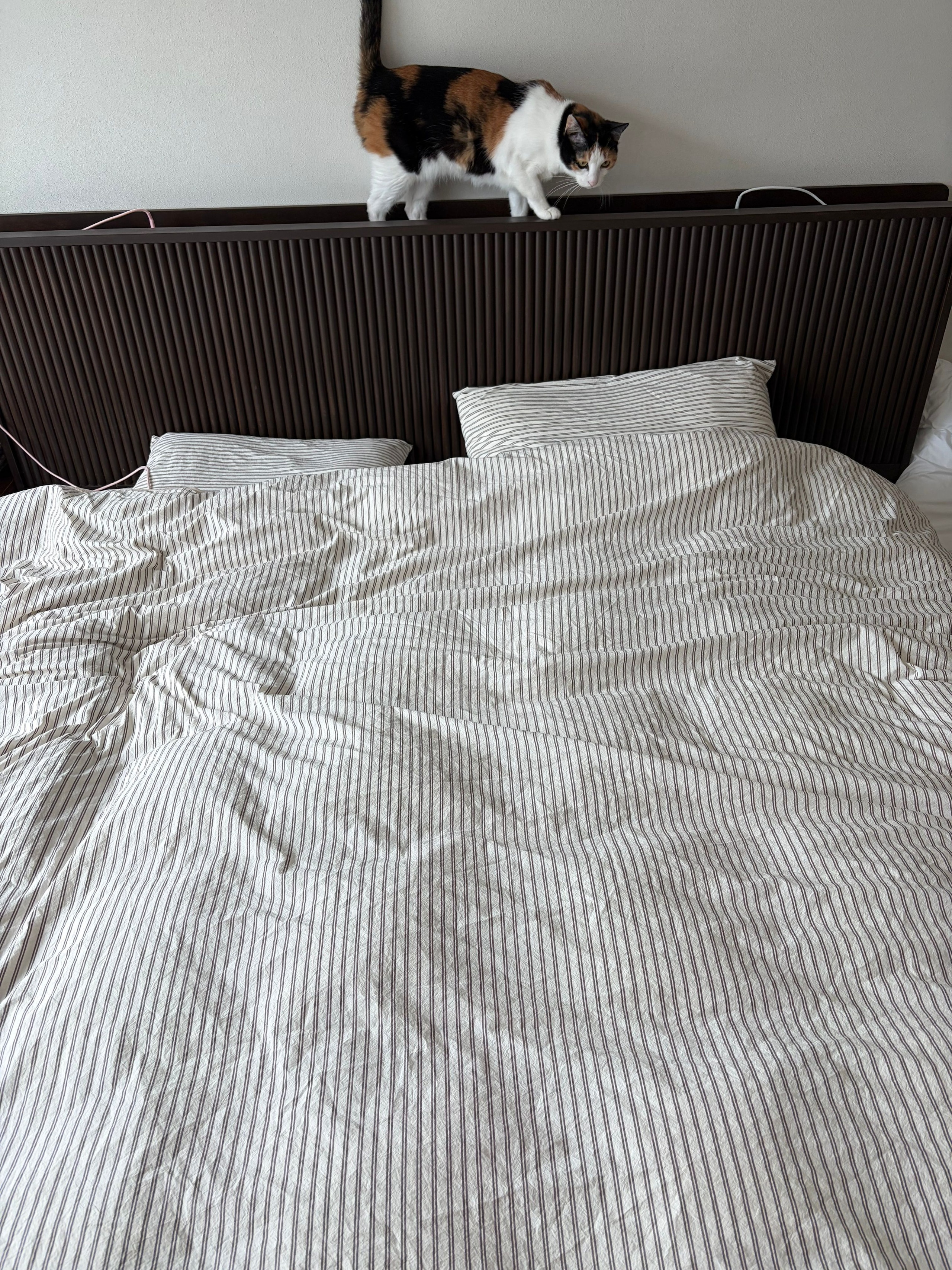 Brown Stripe Reversible Duvet Cover user photo