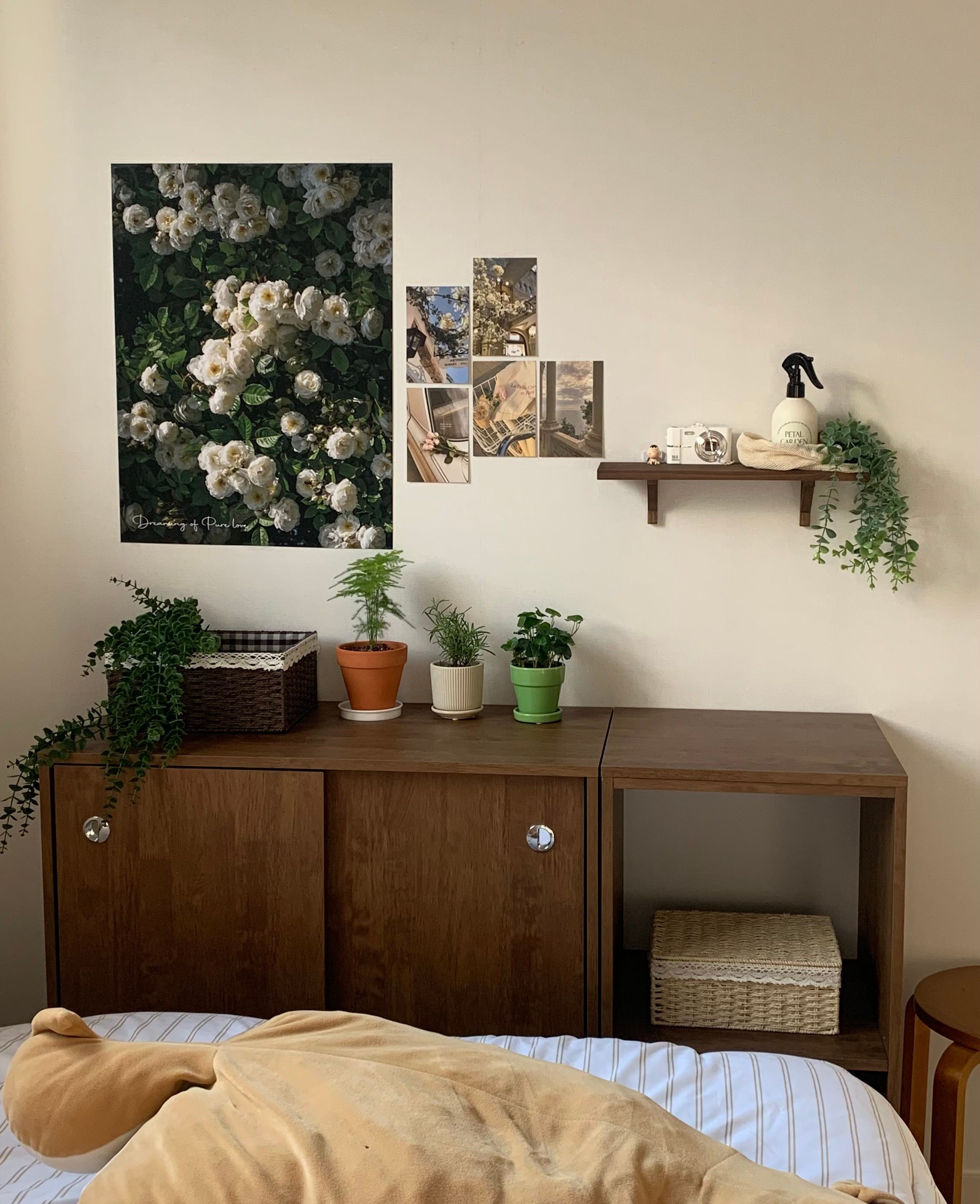 Castella Stripe Cloud Comforter Set user photo