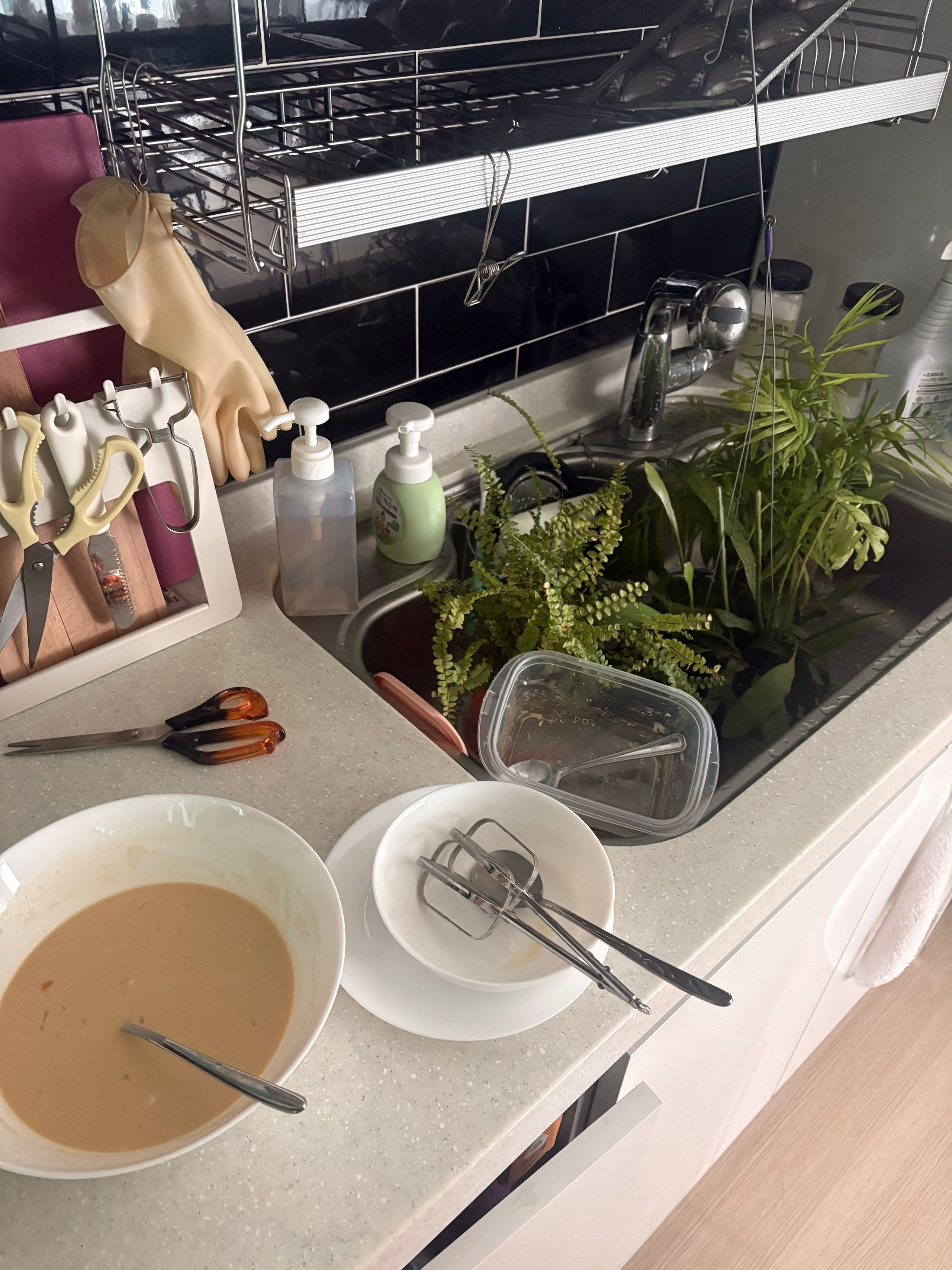 Every Meal Ceramic Dinnerware Set (10-Piece) user photo