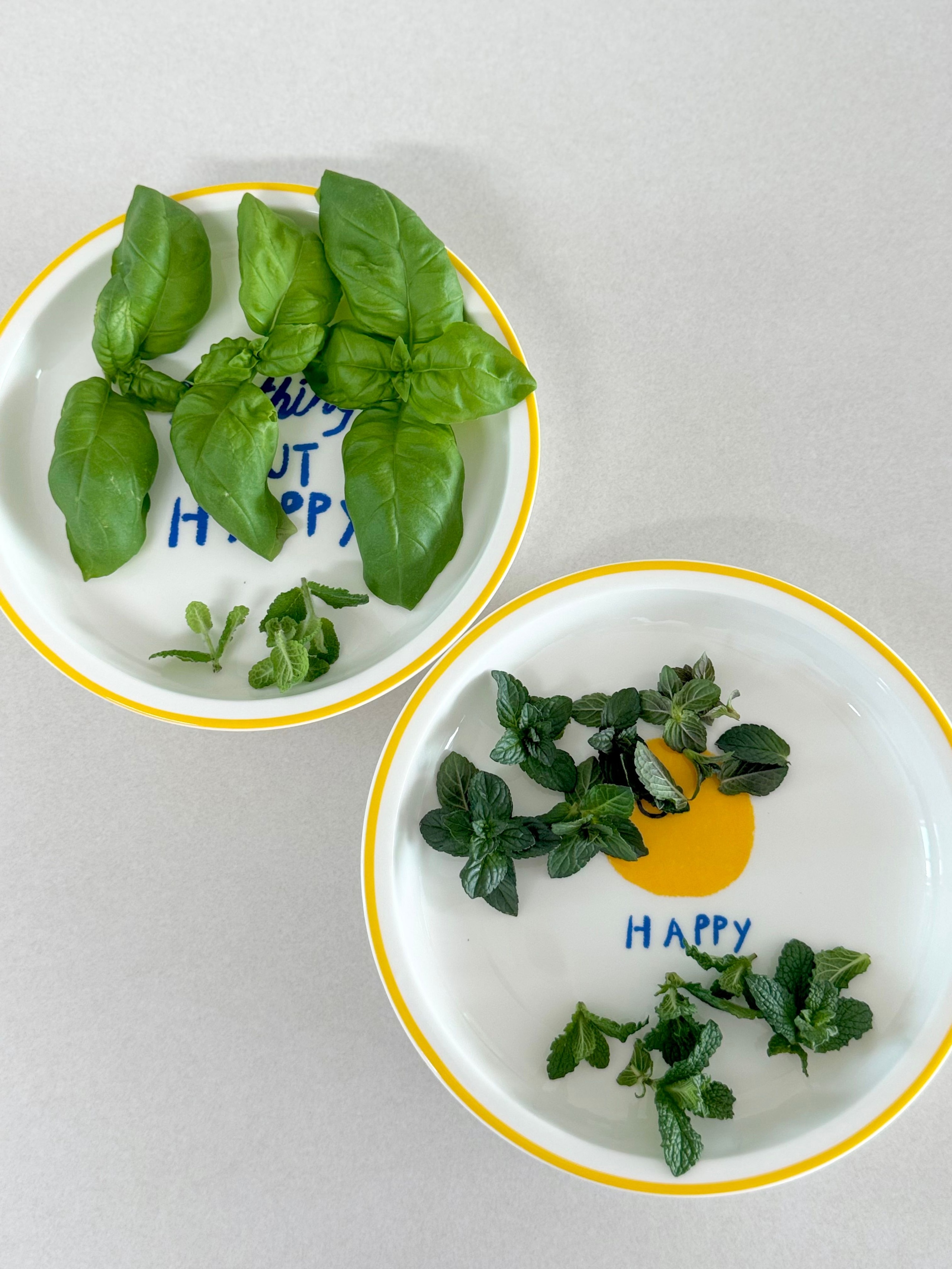 ON Smile Plate Set for 4 (4-Piece) user photo