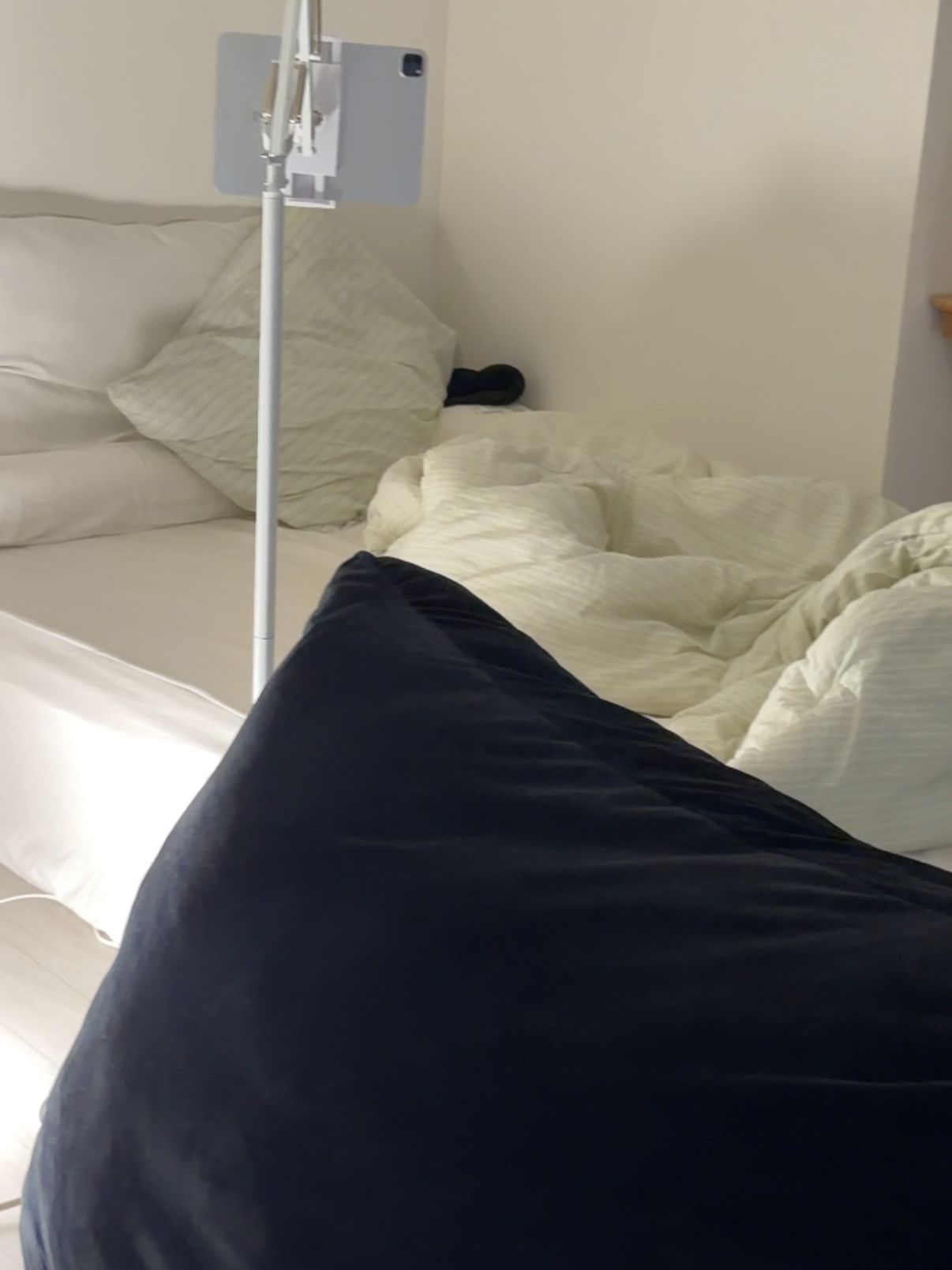 Butter Soft & Dust-Free Mattress Cover user photo