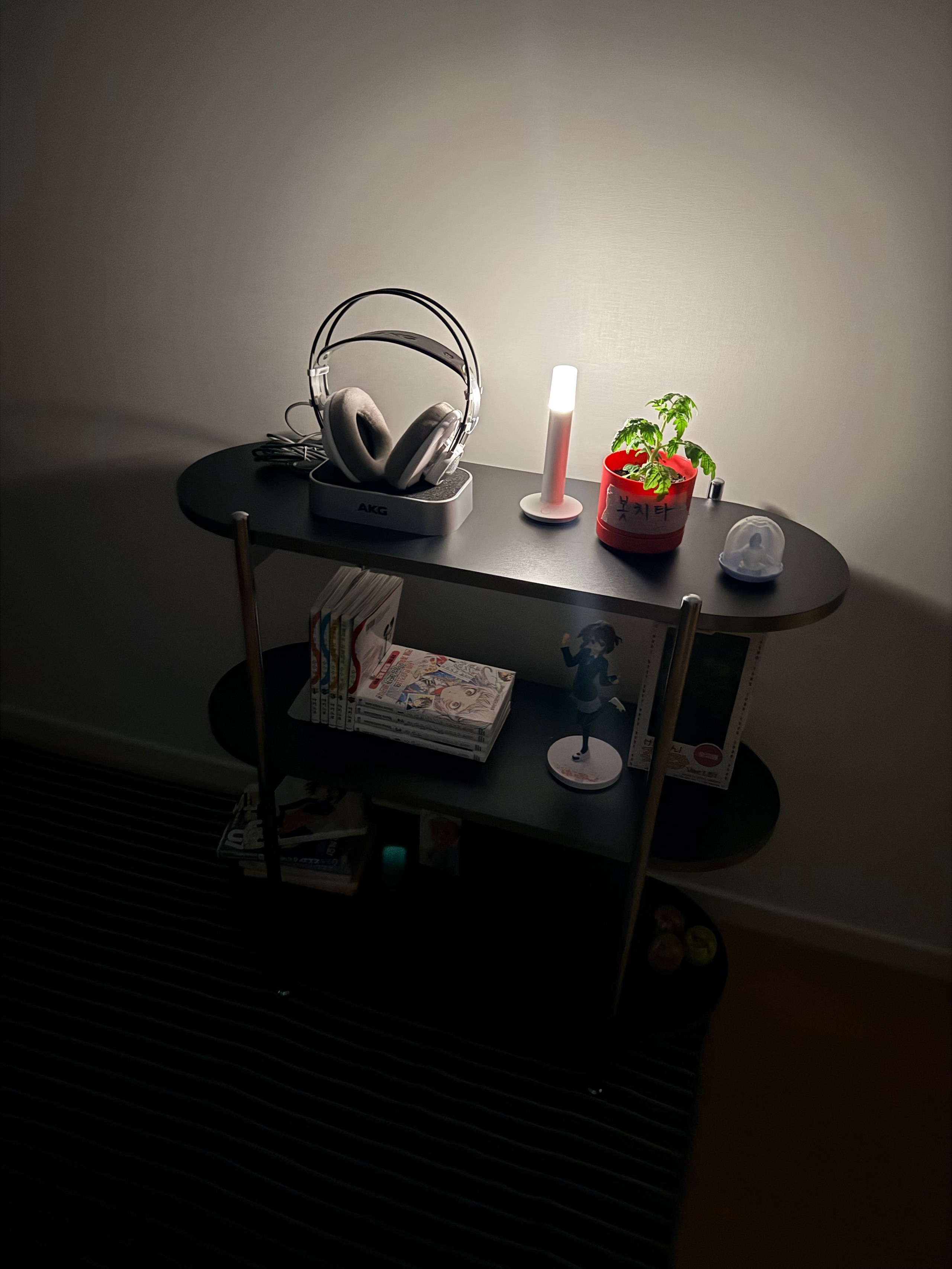 Gott Black Mid-Century Shelf user photo