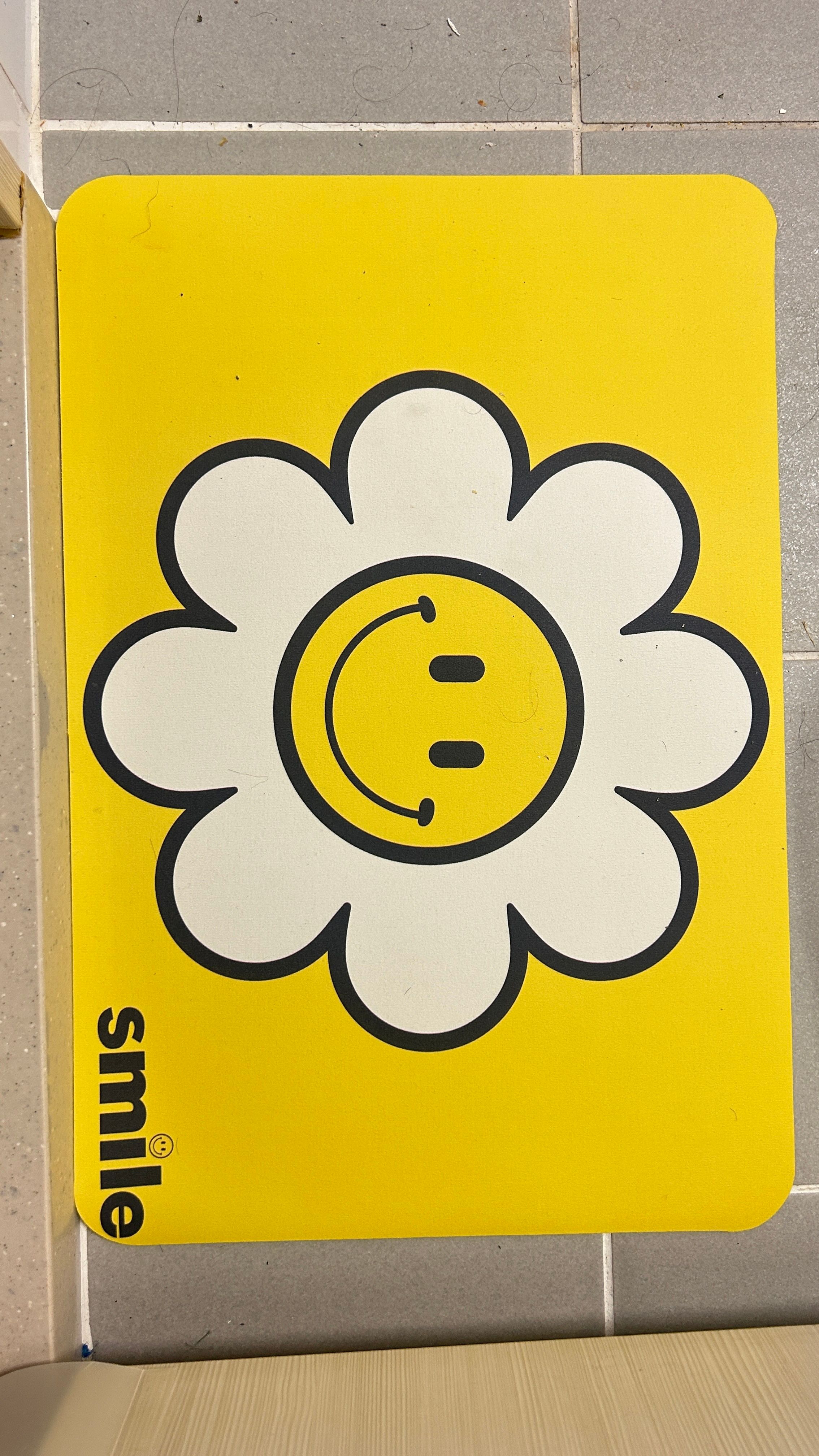 Daisy Washable Diatomite Bath Mat user photo