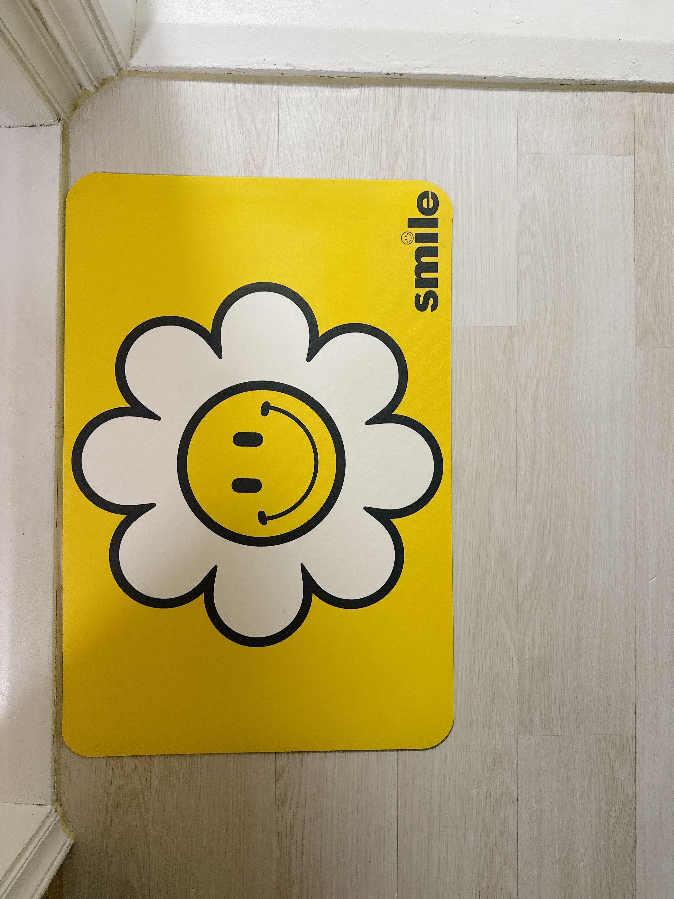 Daisy Washable Diatomite Bath Mat user photo