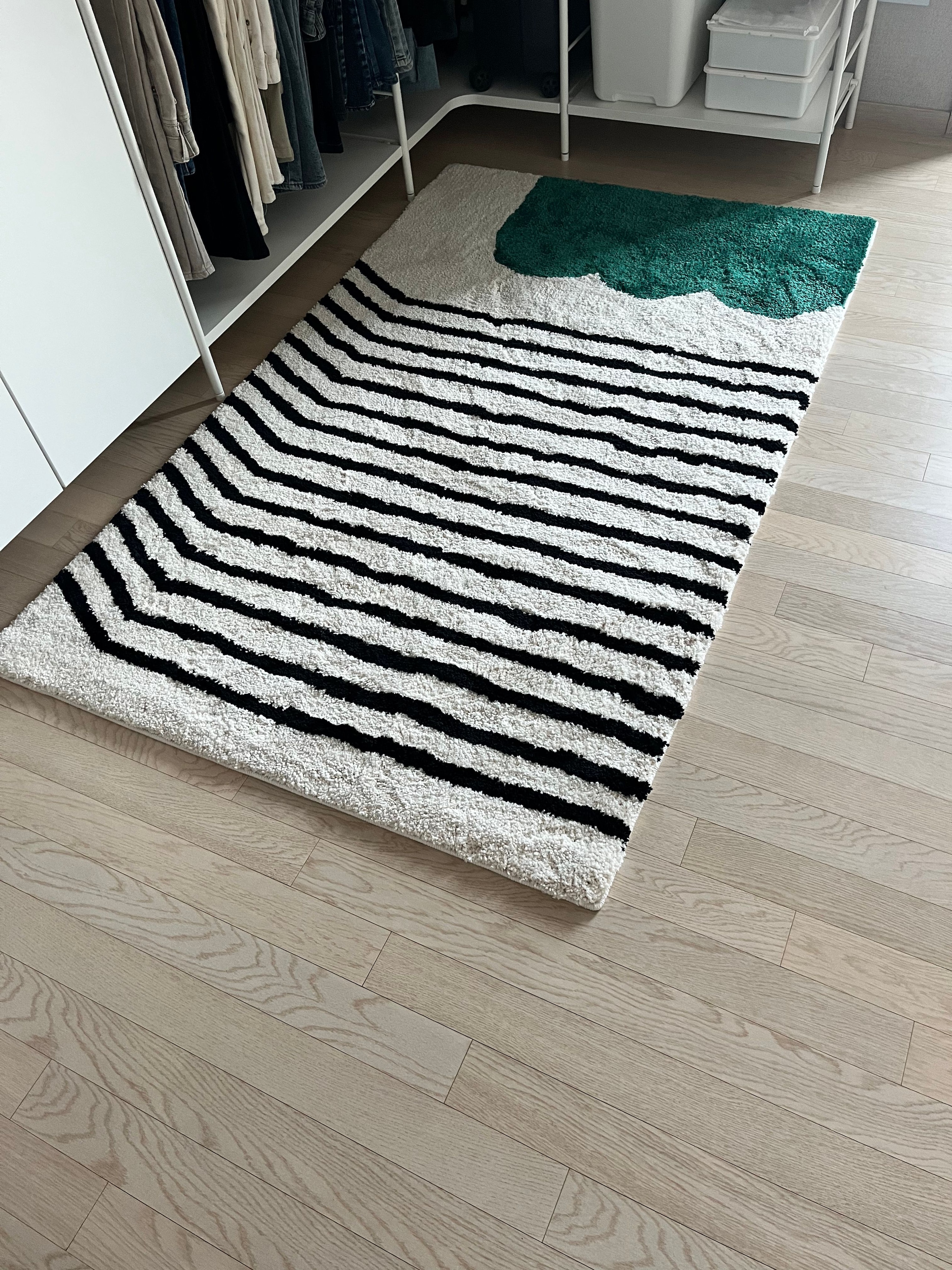 BWTZ Plush Long-Pile Jacquard Area Rug user photo