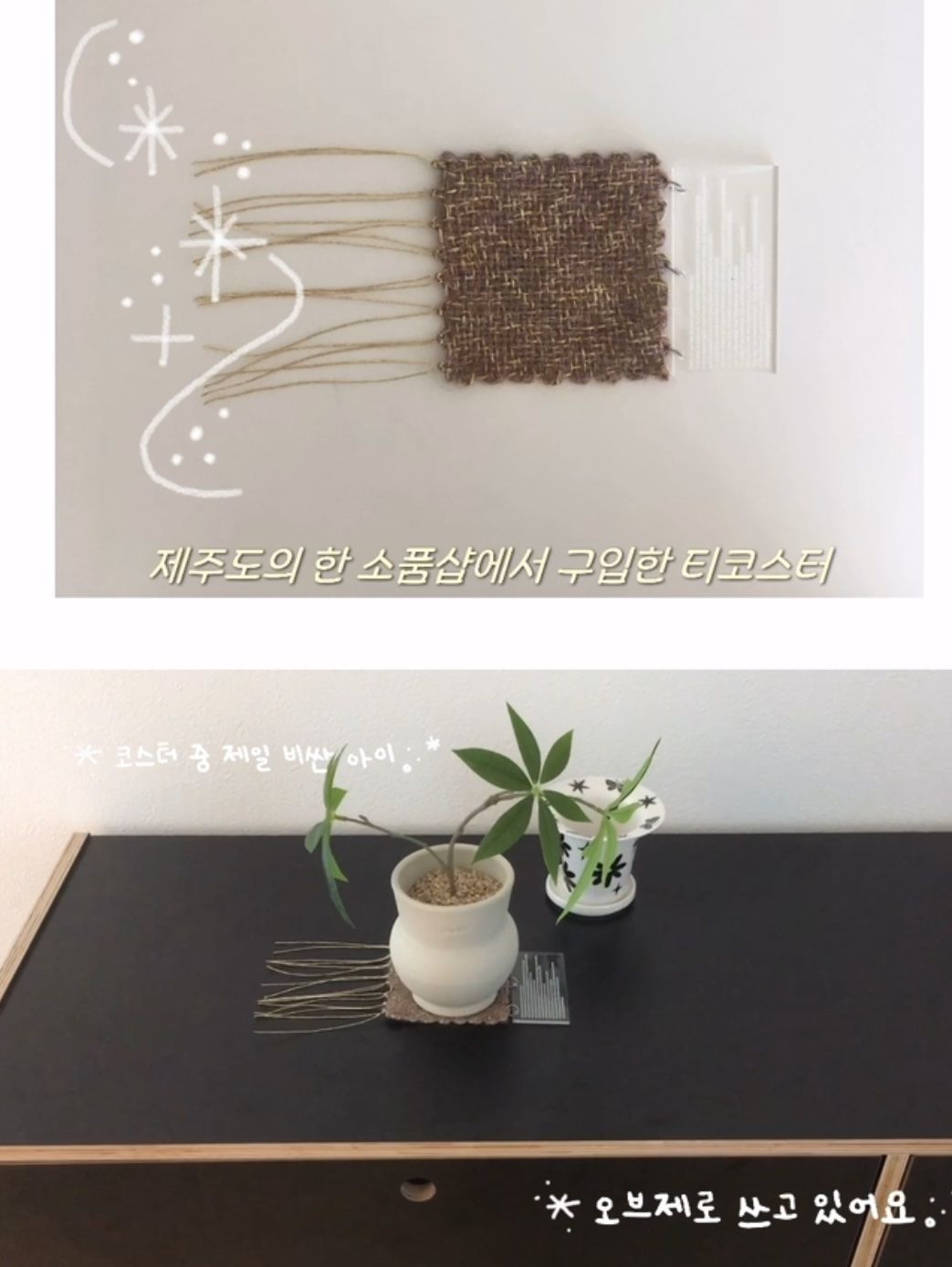 Cute Animal Wool Coasters user photo