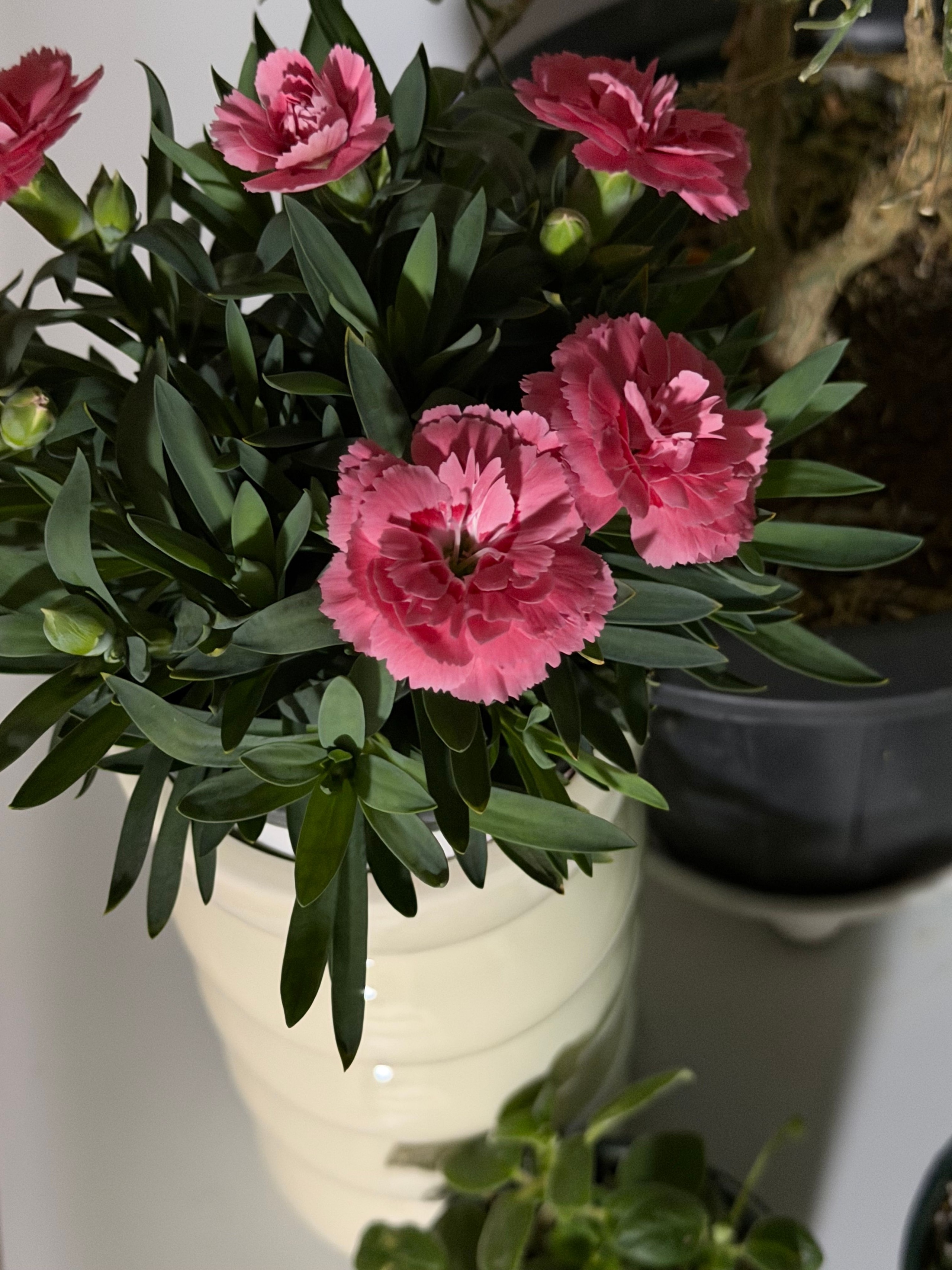 Ceramic Wave Vase user photo
