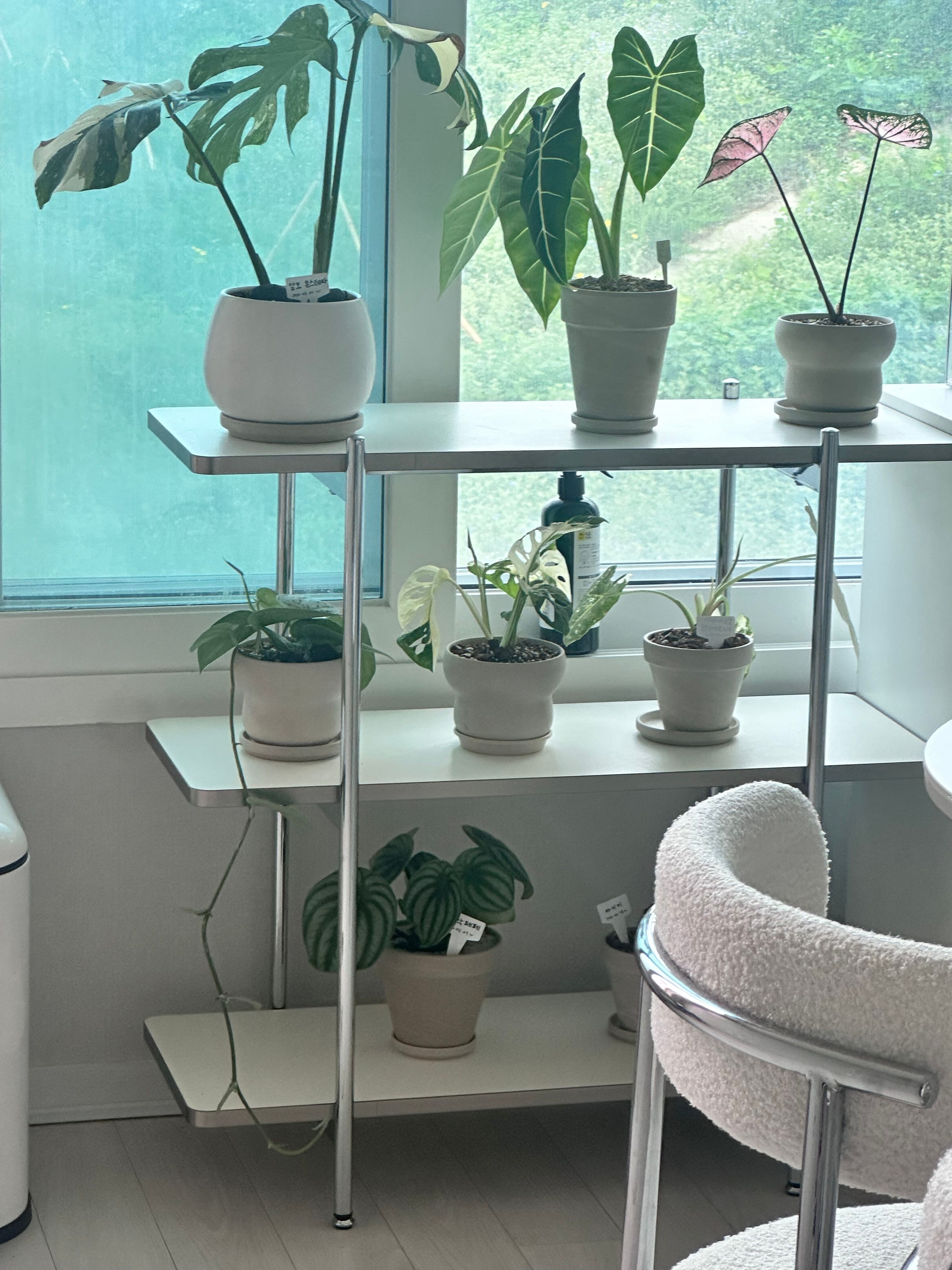 Gott Black Mid-Century Square Shelf user photo