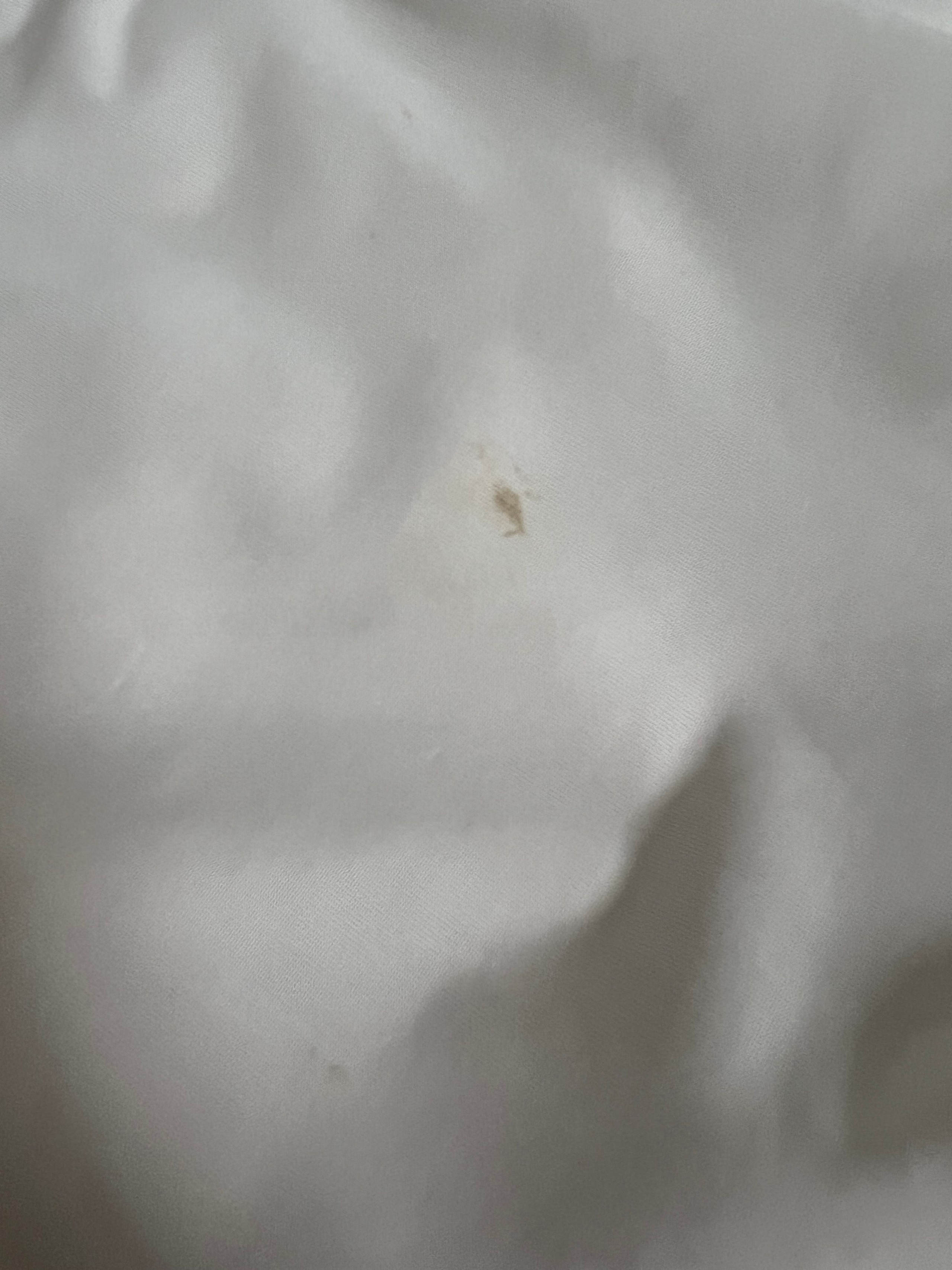 Cool Summer Cooling Comforter user photo