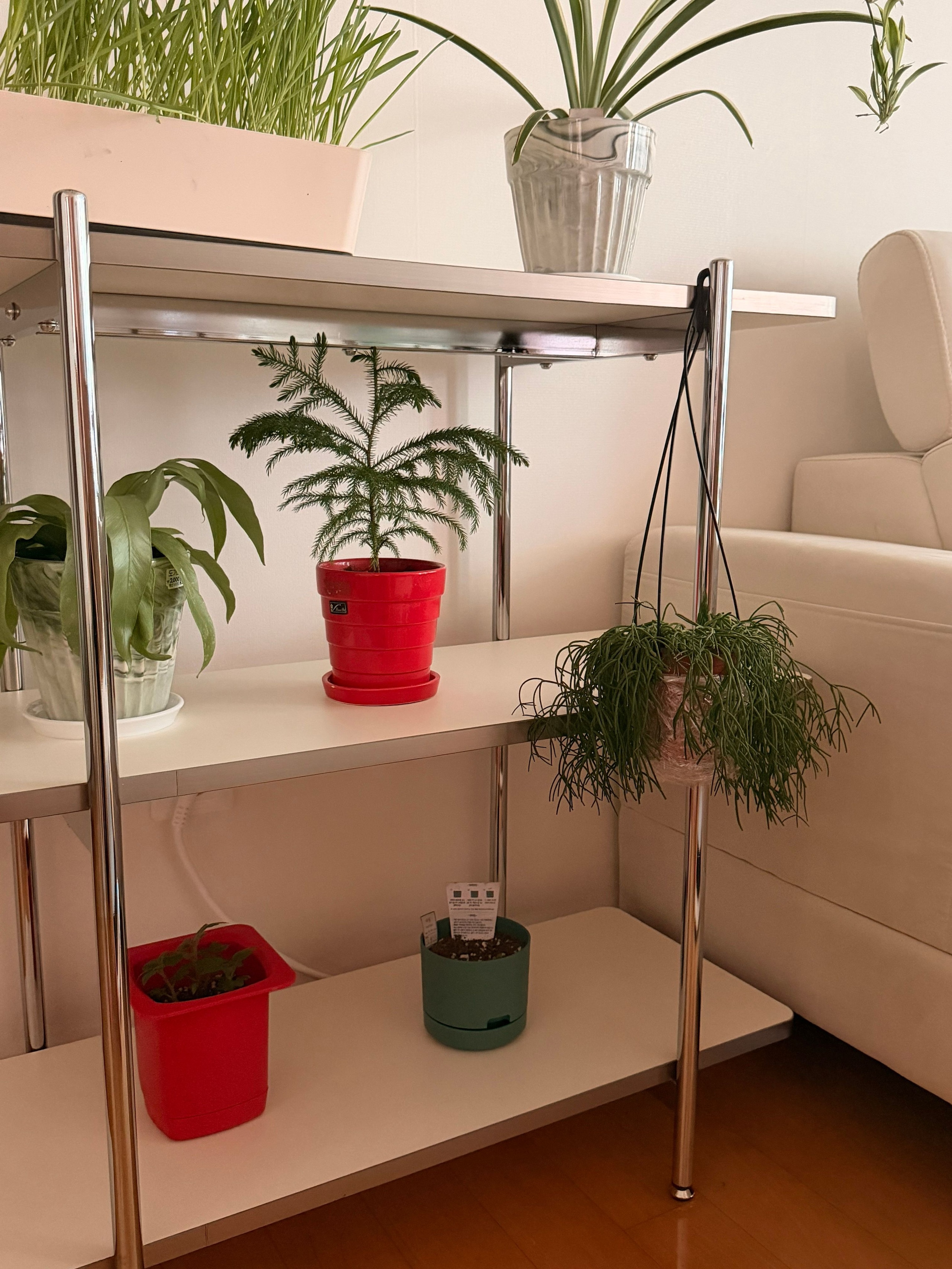 Gott Black Mid-Century Square Shelf user photo