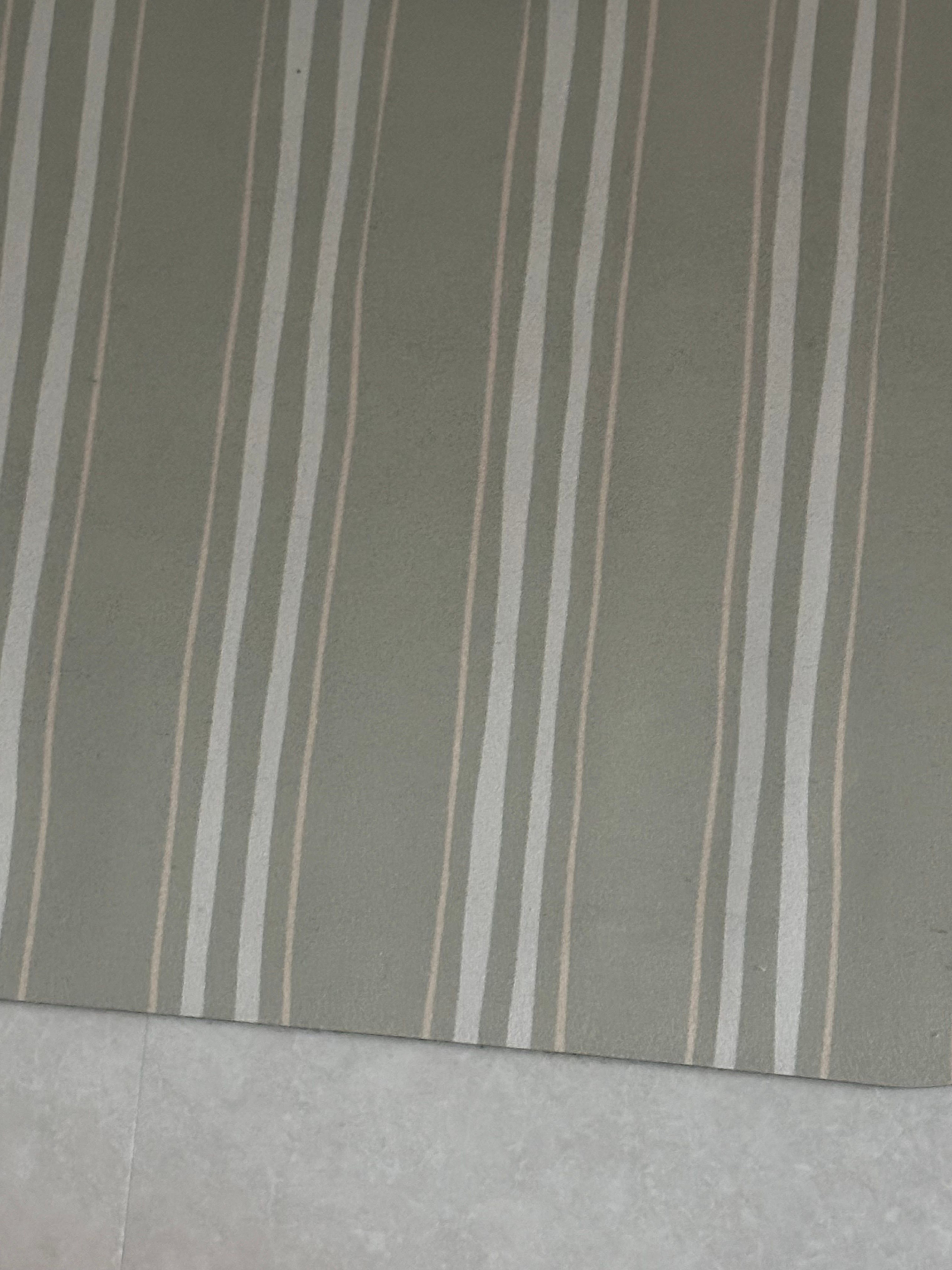 Washable Stripe Diatomite Shape Bath Mat user photo