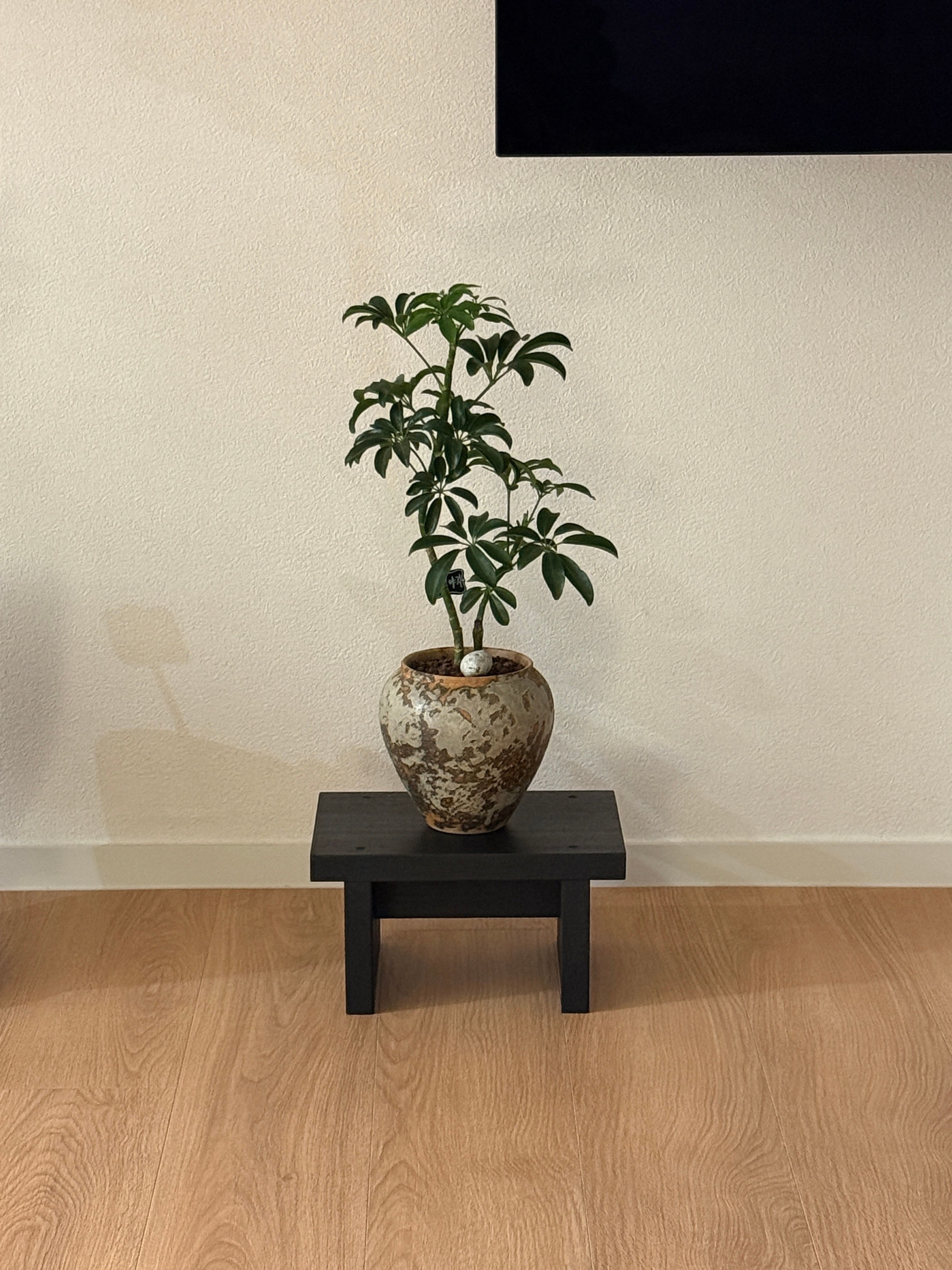 Rectangular Wood Mini Plant Stand user photo