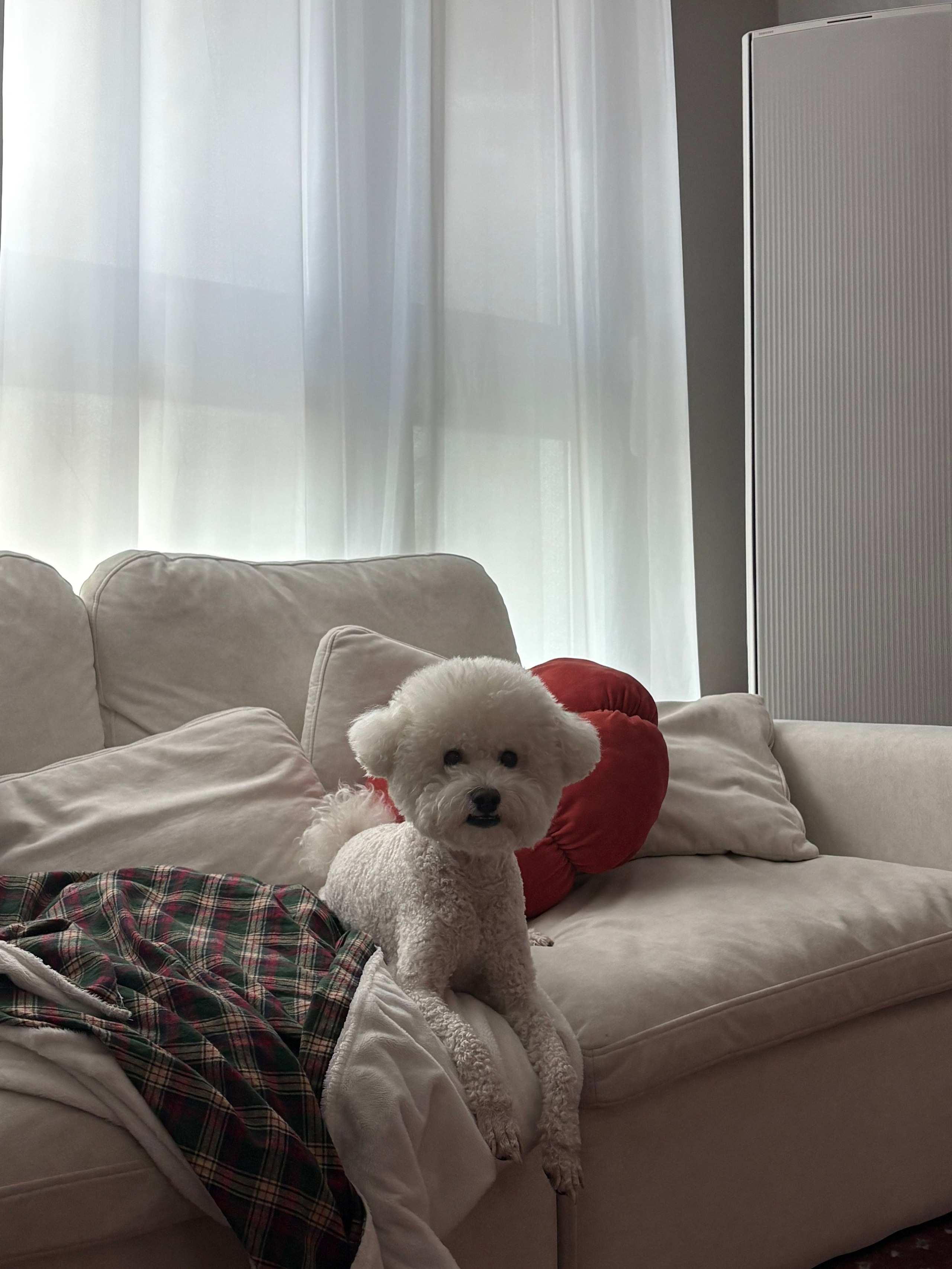 Holiday New York Check Microfiber Blanket user photo
