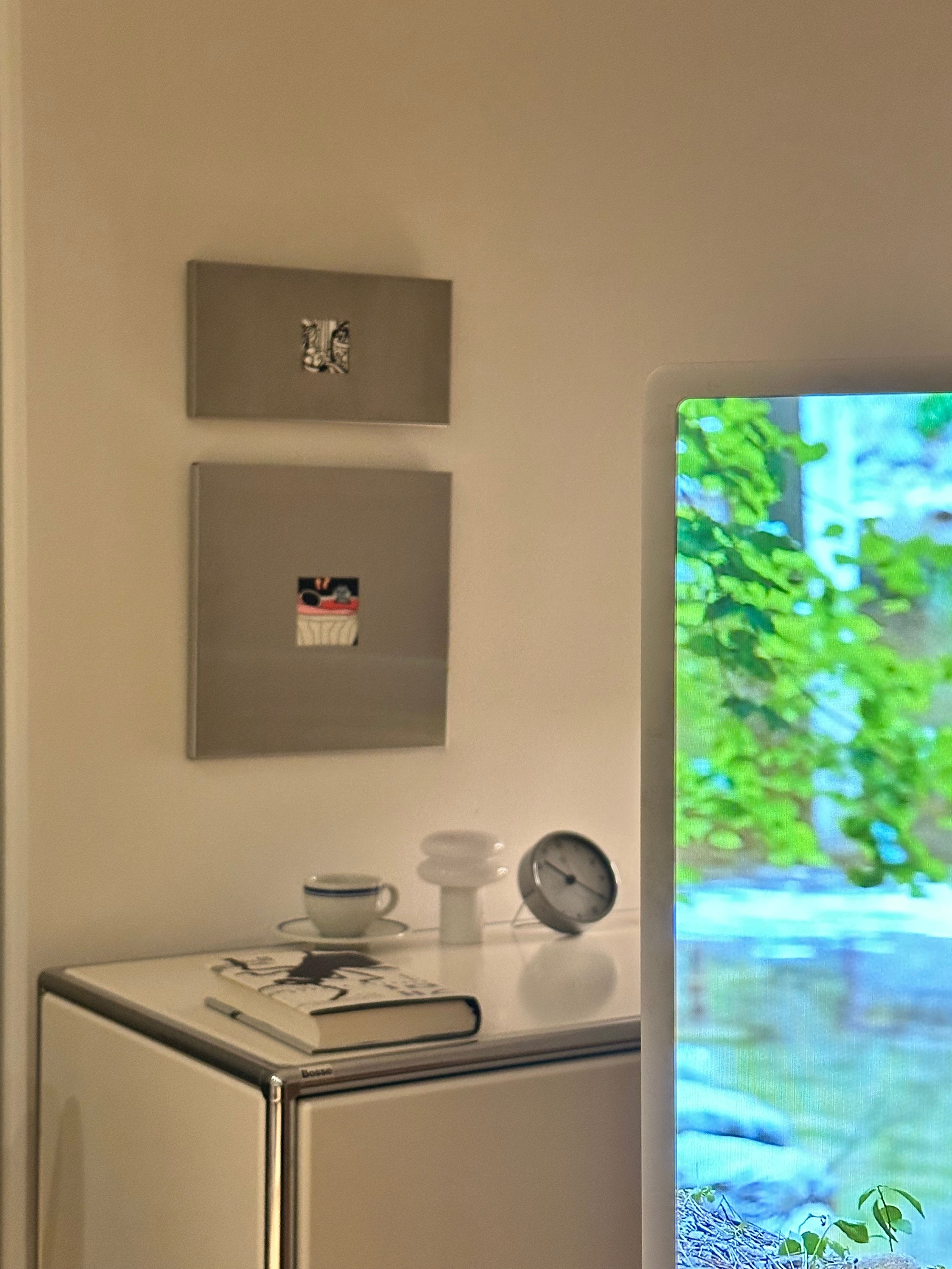 Stainless Steel Magnetic Archive Frame user photo