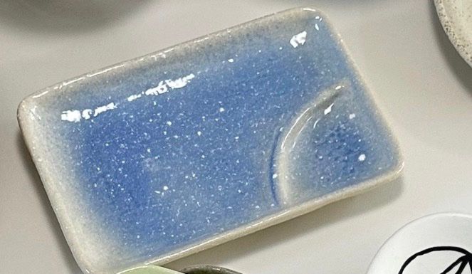 Blue Speckled Divided Plate user photo