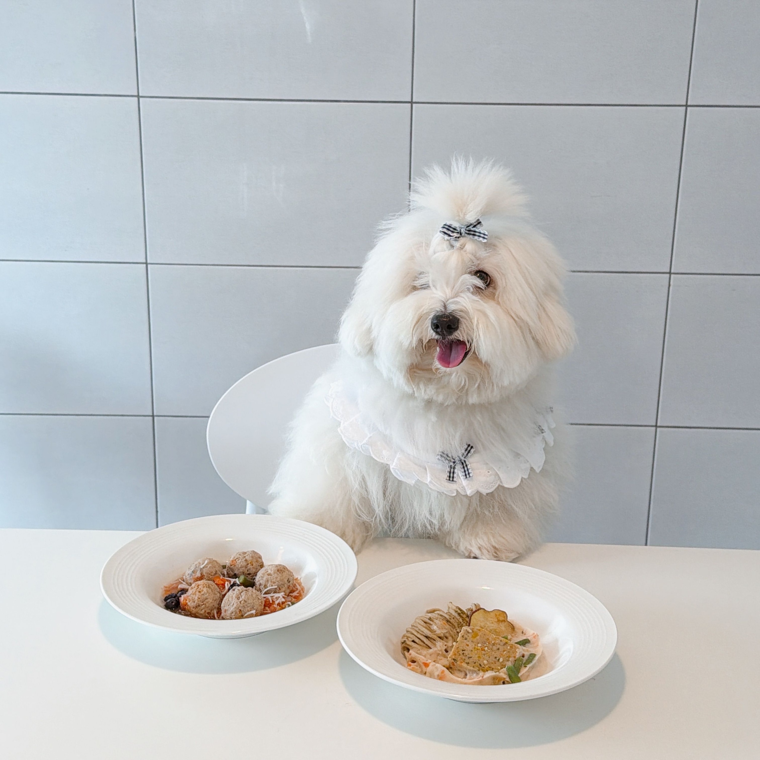 Pebble 4-Piece Pasta & Ramekin Bowl Set user photo