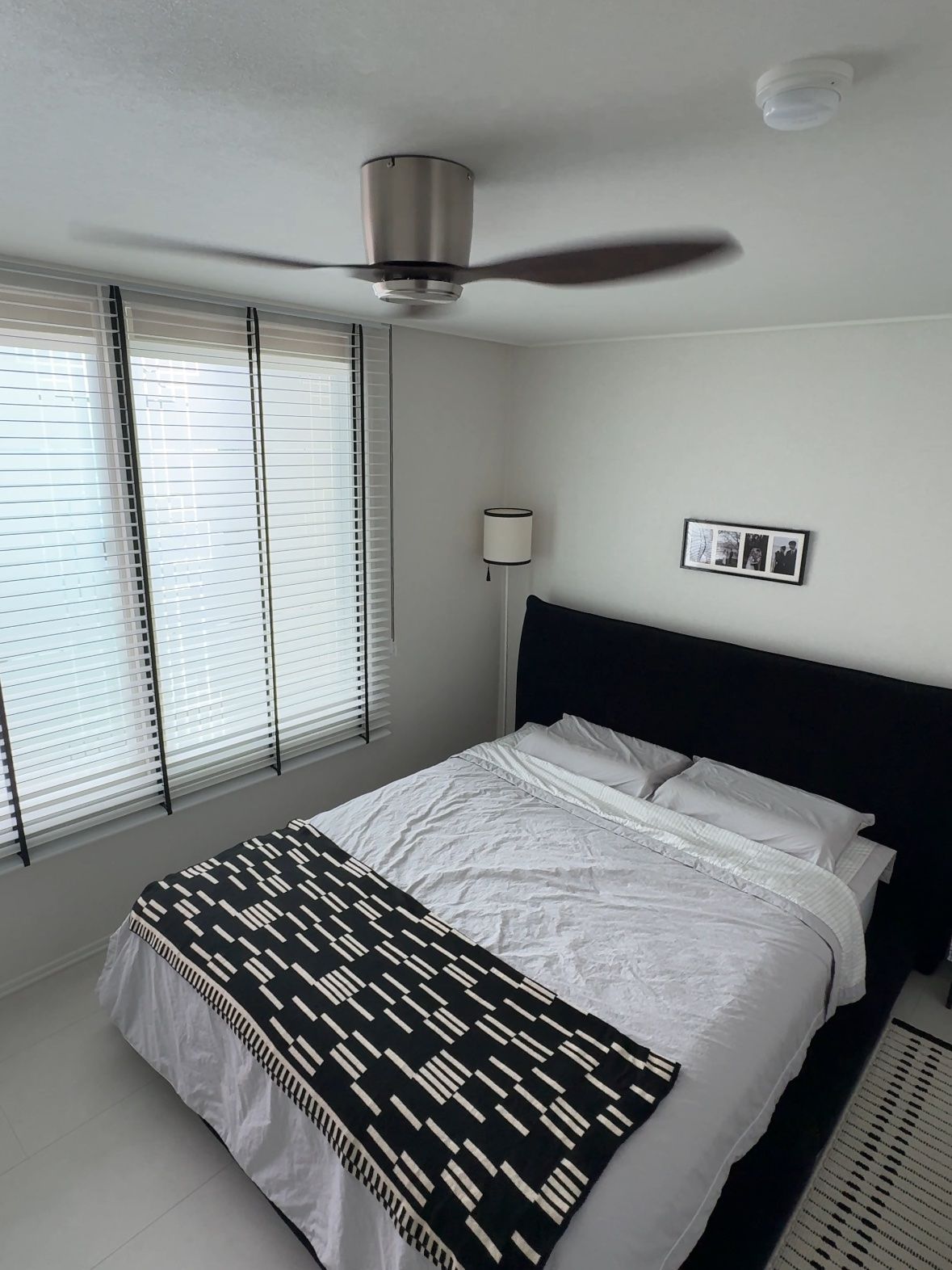 Highland Rug user photo