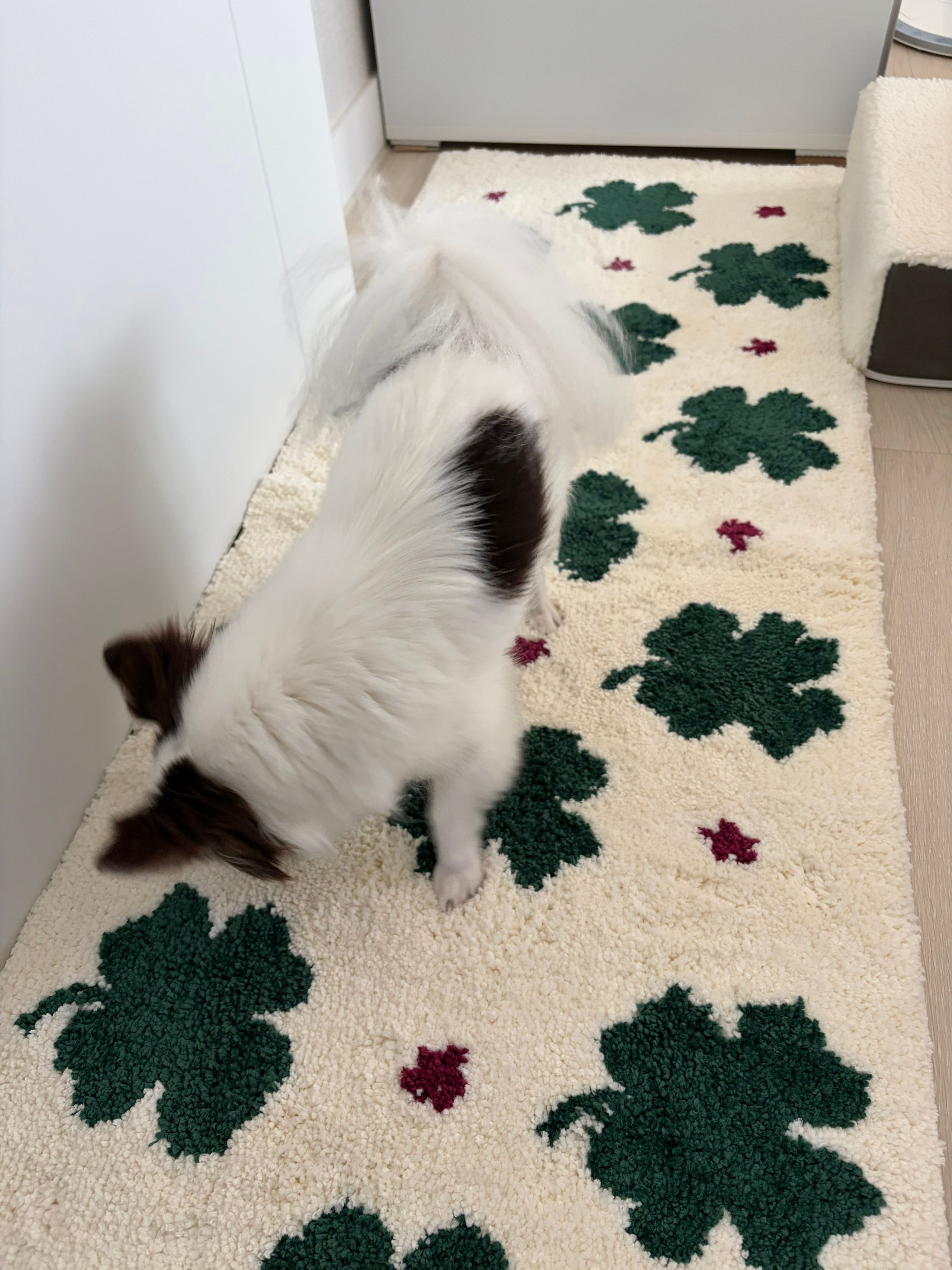 Clover Cream Mini Rug user photo