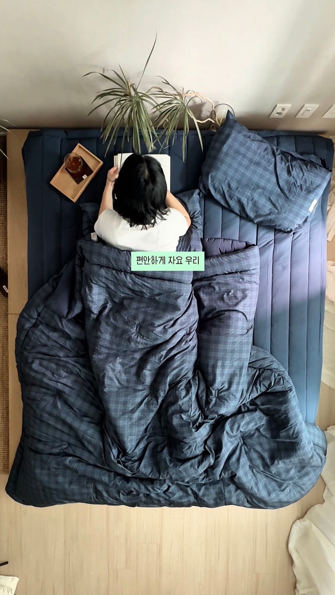Porch Check Allergy-Care Comforter Set user photo