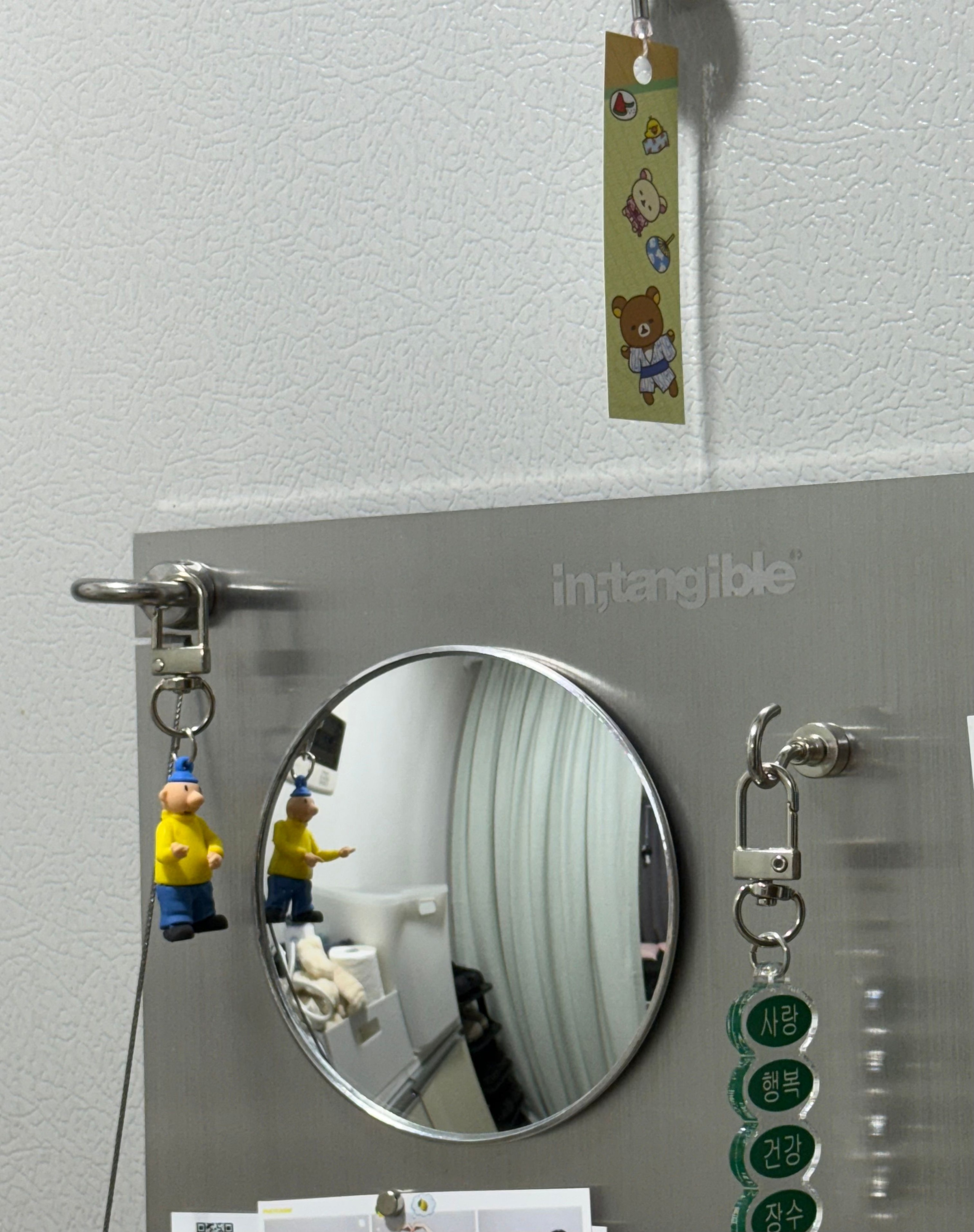 Magnetic Stainless Steel Wall Organizer user photo