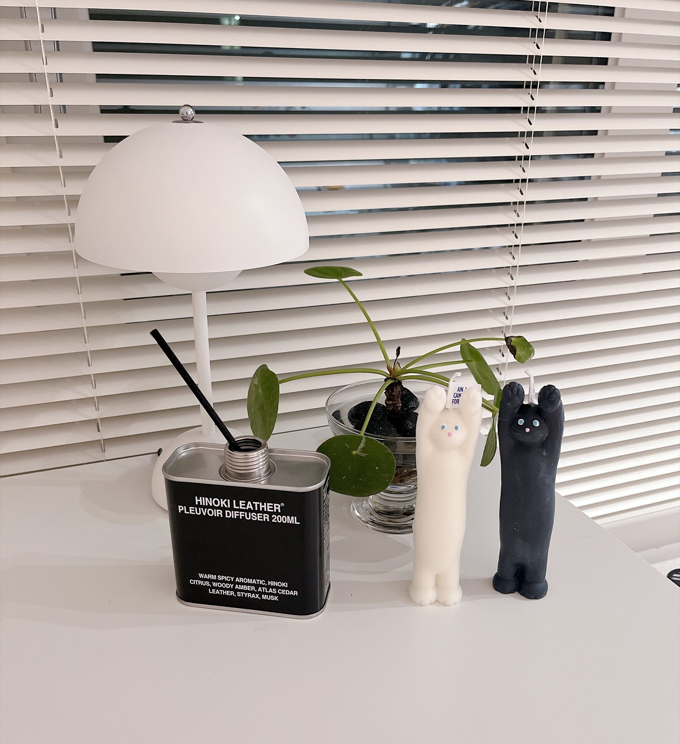 Stretchy Cat Object Candle user photo