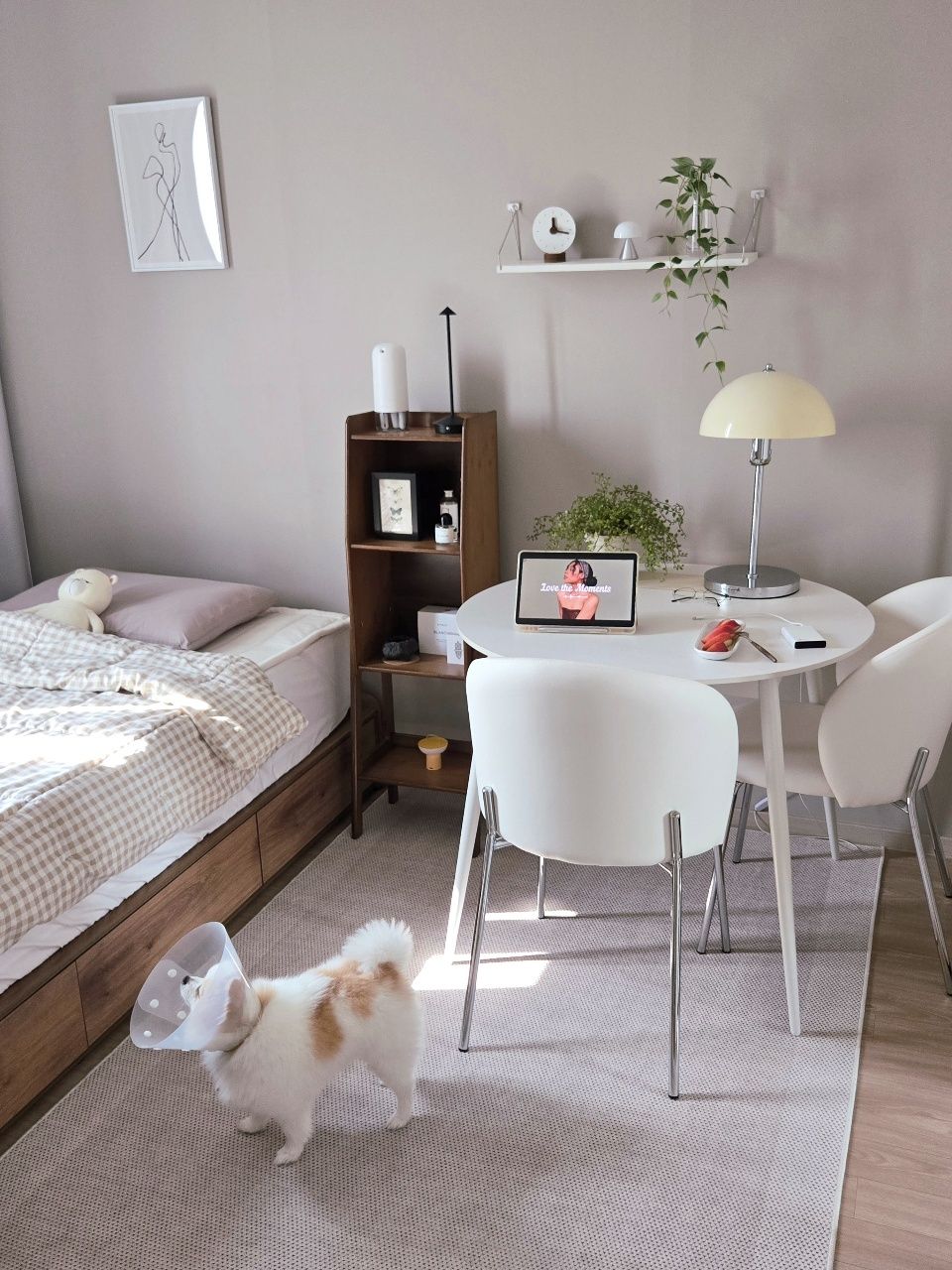 Border Pattern Washable Rug user photo