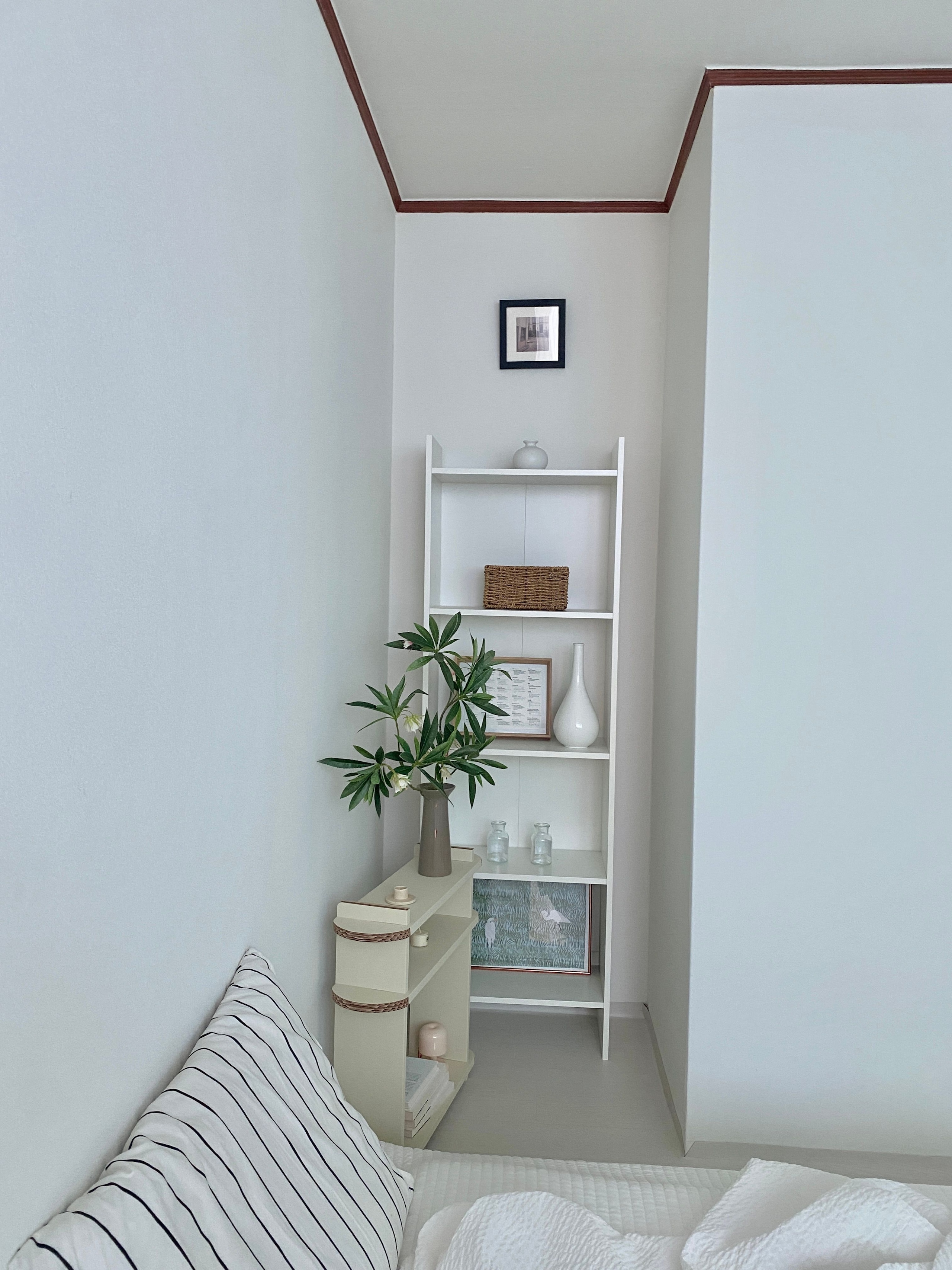 Round Kraft Shelf user photo