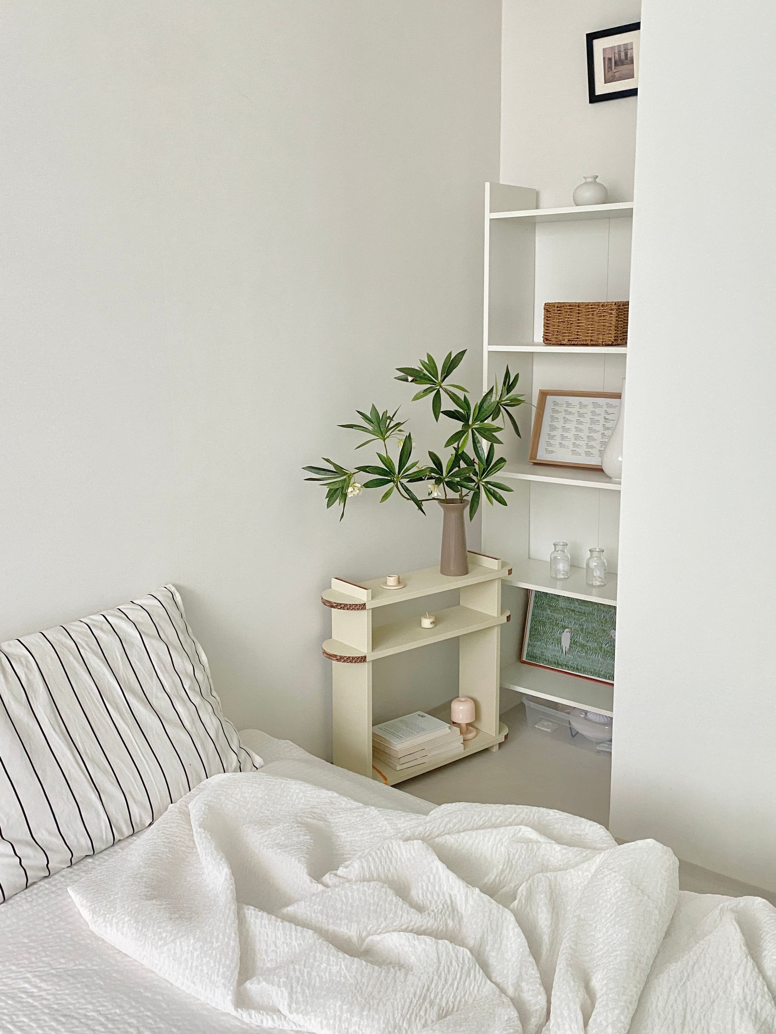 Round Kraft Shelf user photo